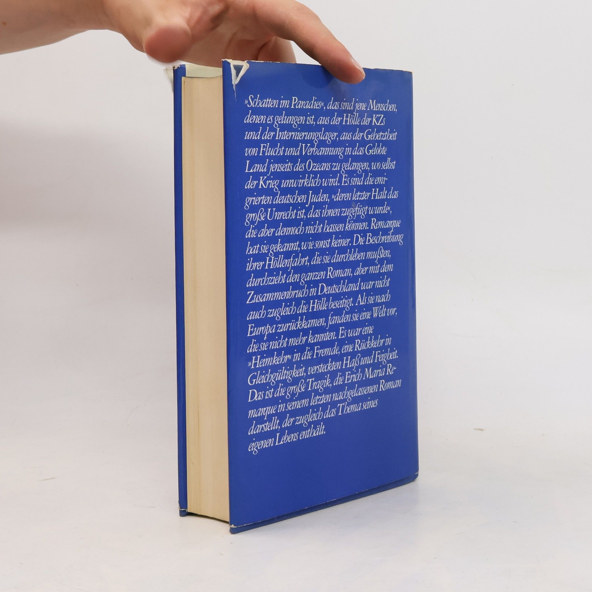 Erich Maria Remarque Schatten im Paradies