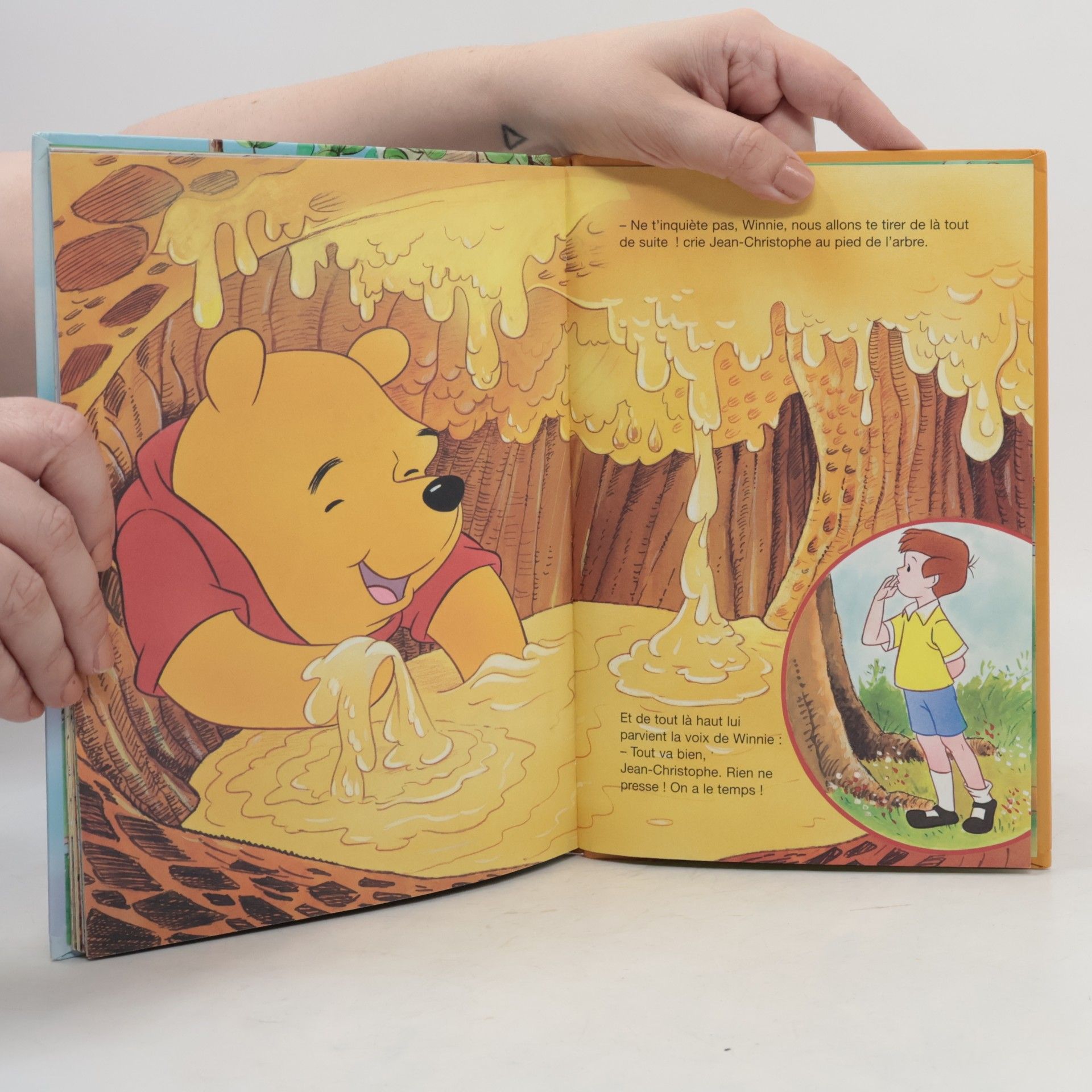 Autorenkollektiv Winnie l'ourson et l'arbre à miel