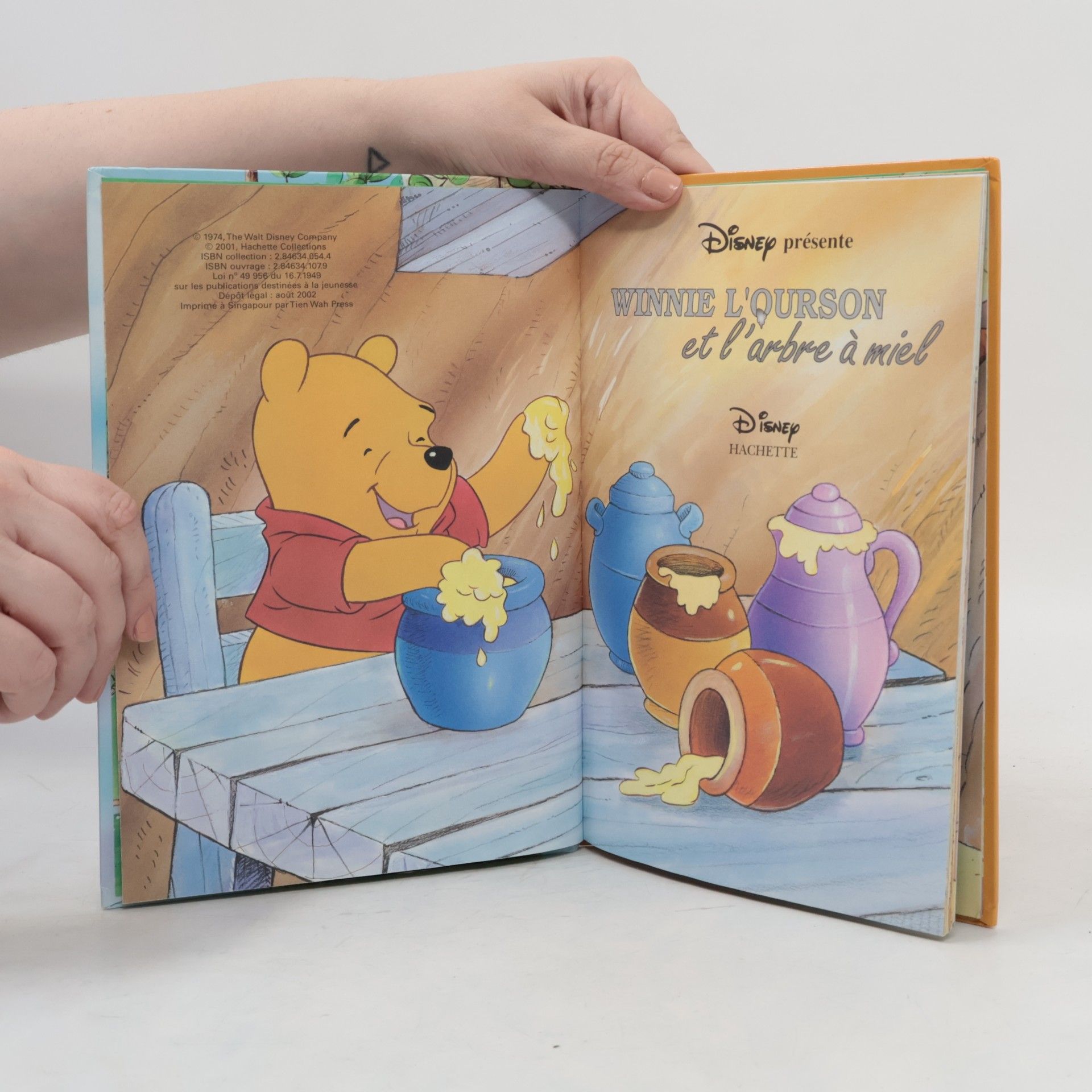 Autorenkollektiv Winnie l'ourson et l'arbre à miel
