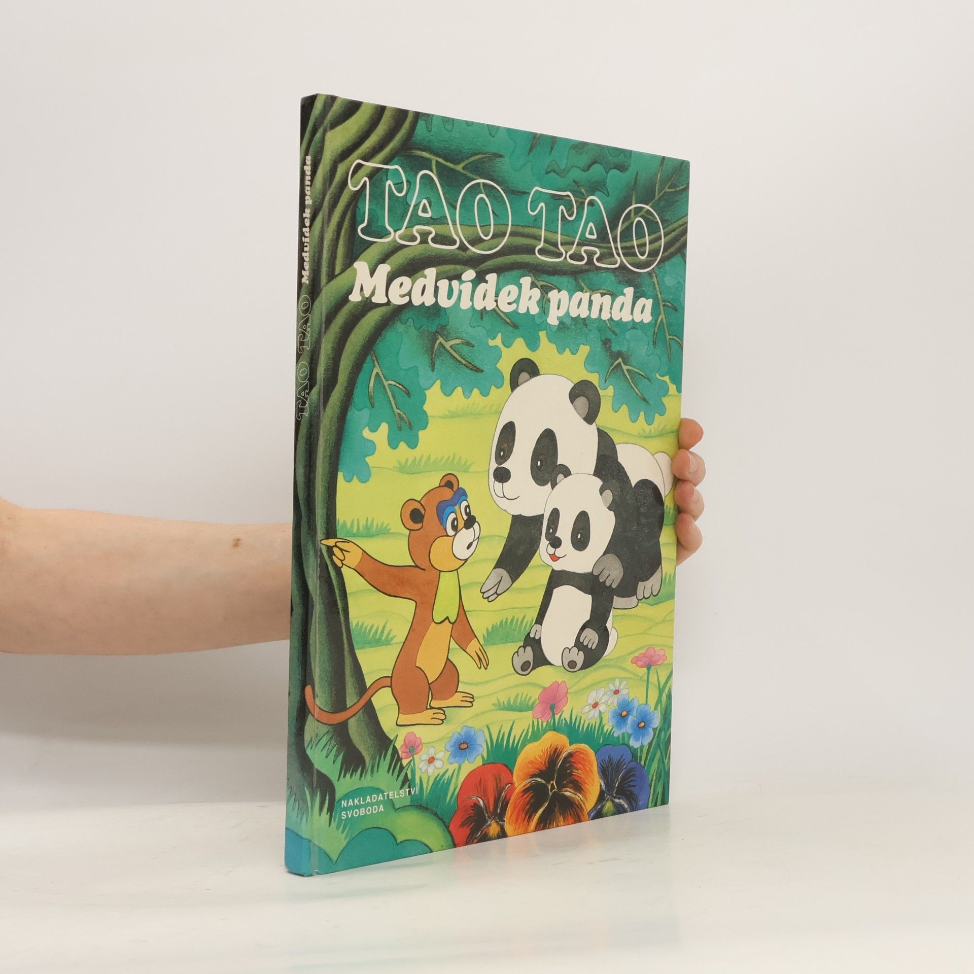 Autorenkollektiv Tao Tao. Medvídek panda