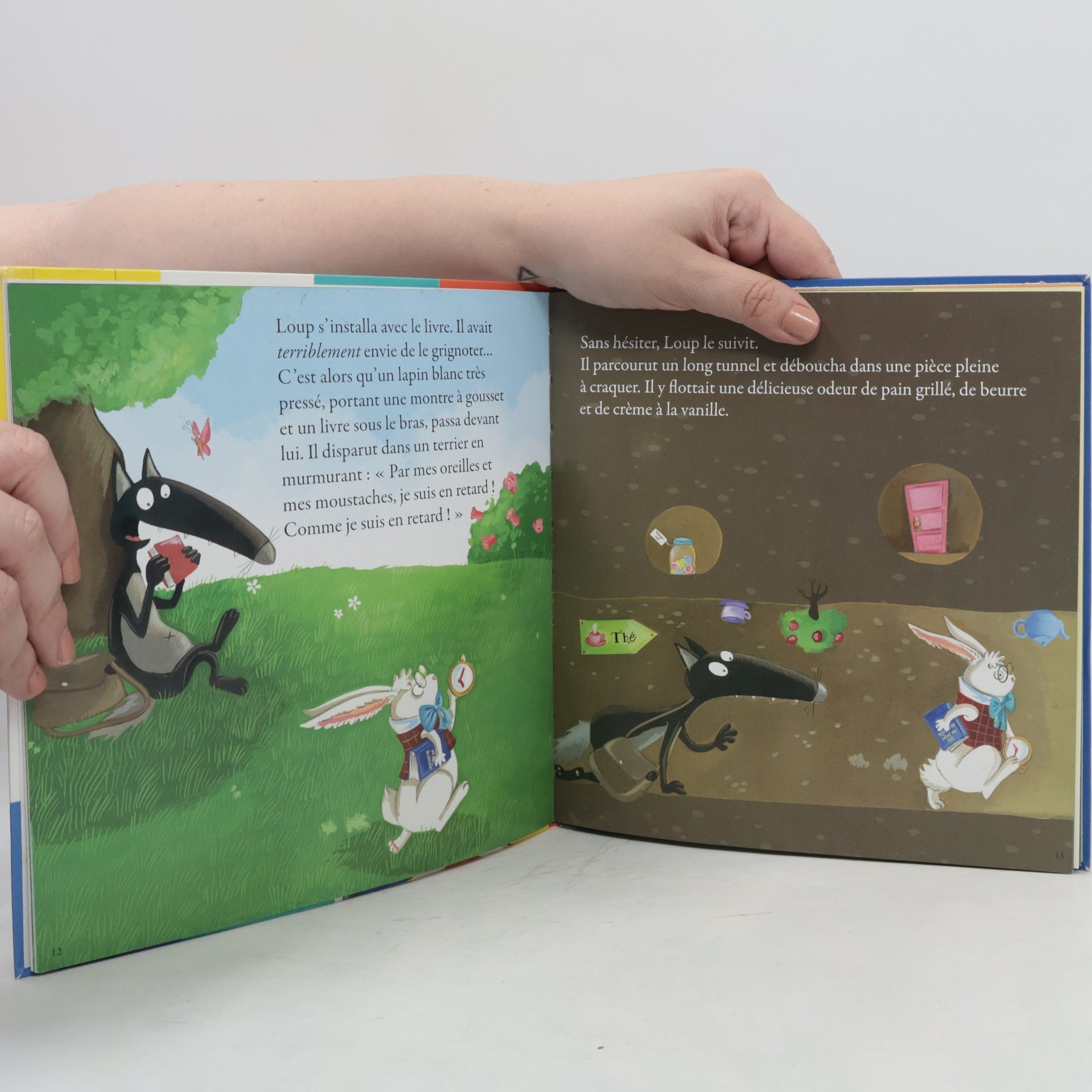 Orianne Lallemand Le loup qui n'aimait pas lire