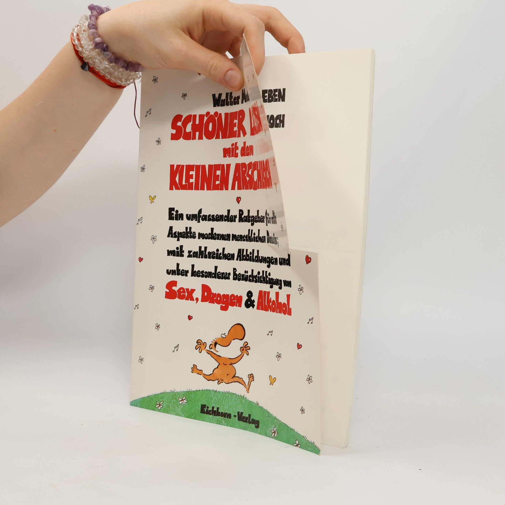 Walter Moers Schöner Leben mit dem Kleinen Arschloch