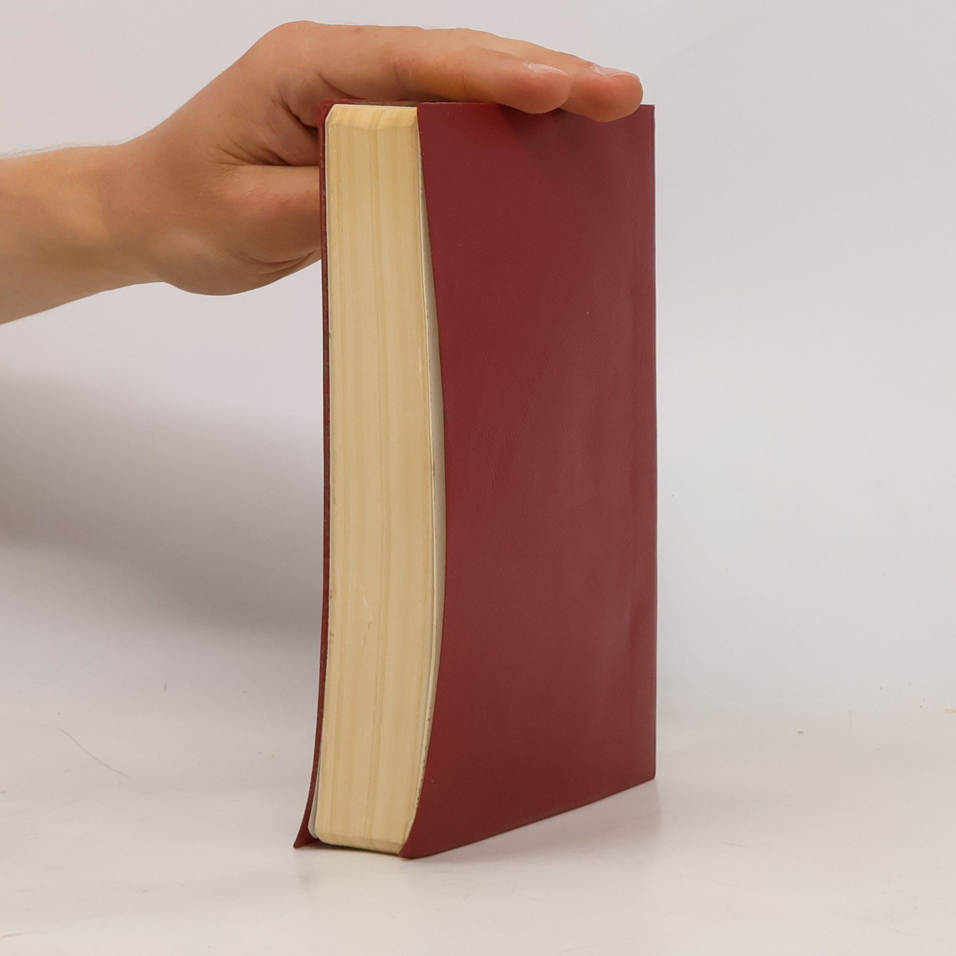 Autorenkollektiv Biblí svatá aneb všecka svatá písma Starého i Nového zákona