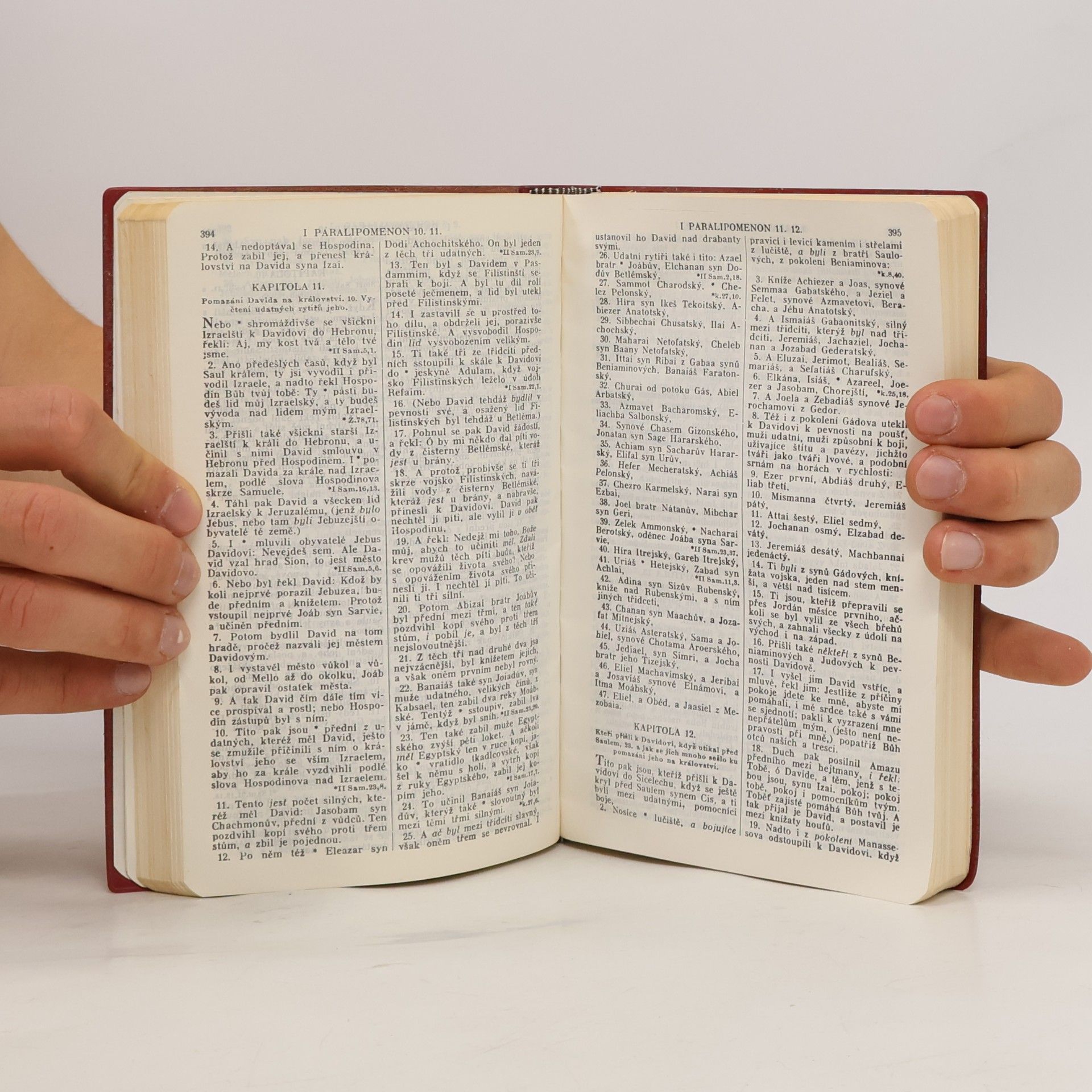 Autorenkollektiv Biblí svatá aneb všecka svatá písma Starého i Nového zákona