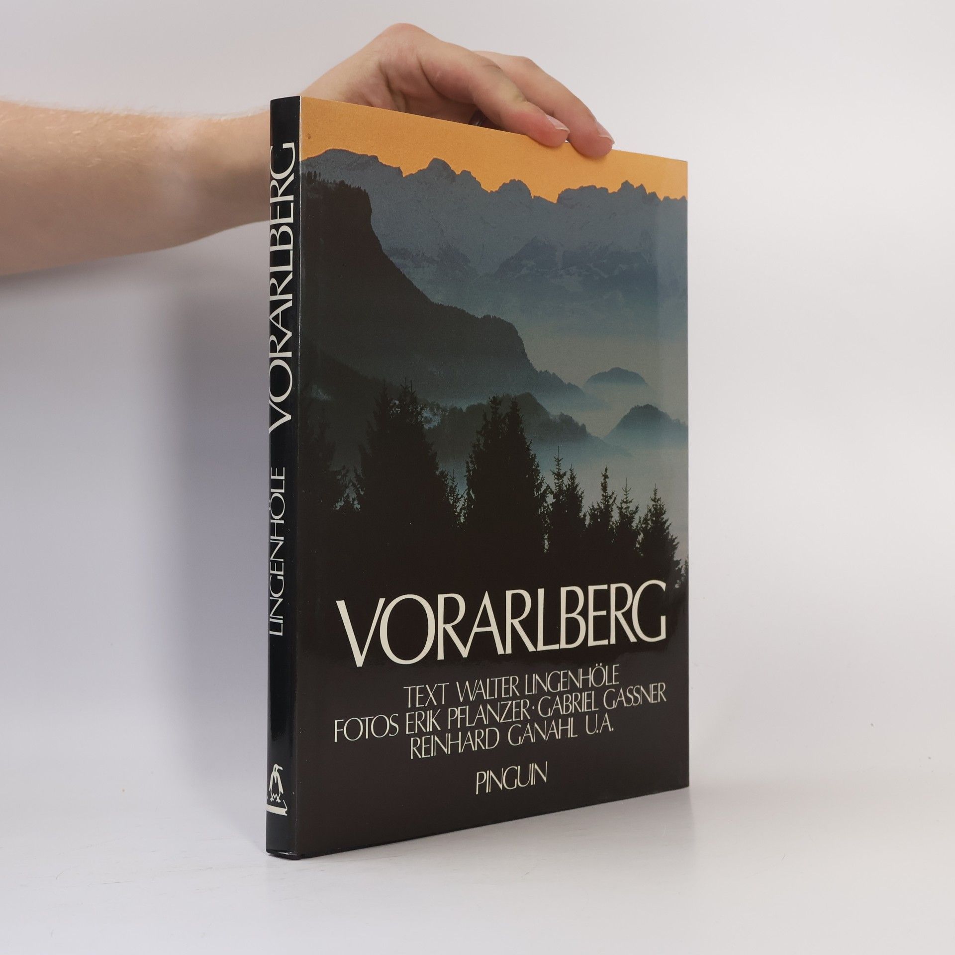 Walter Lingenhöle Vorarlberg