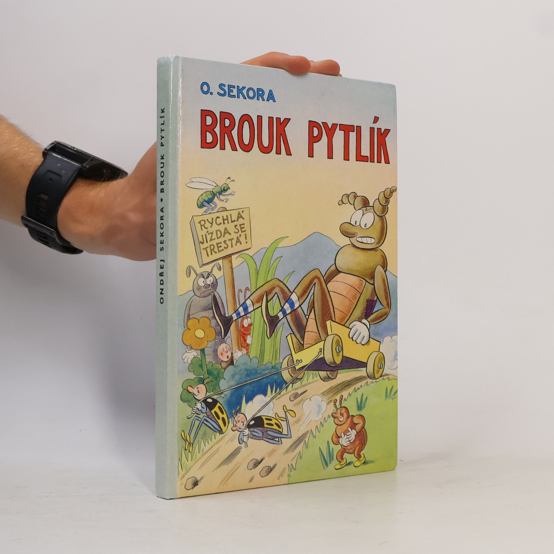 Ondřej Sekora Brouk Pytlík