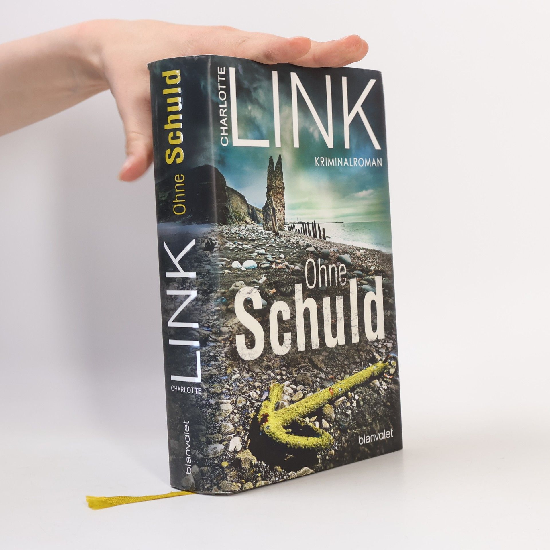 Charlotte Link Ohne Schuld