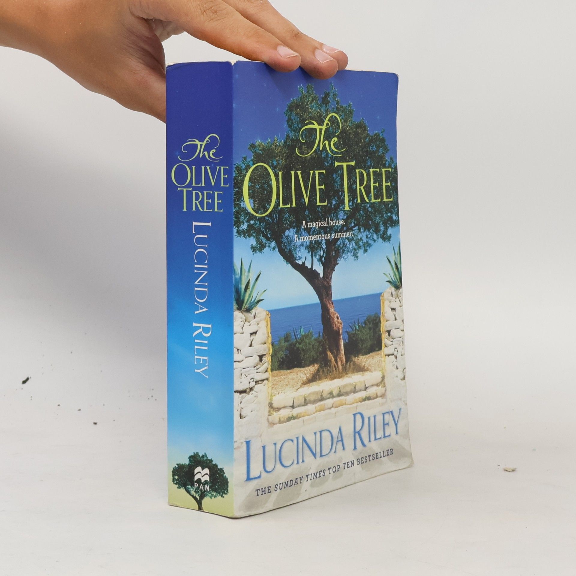 Lucinda Riley The Olive Tree