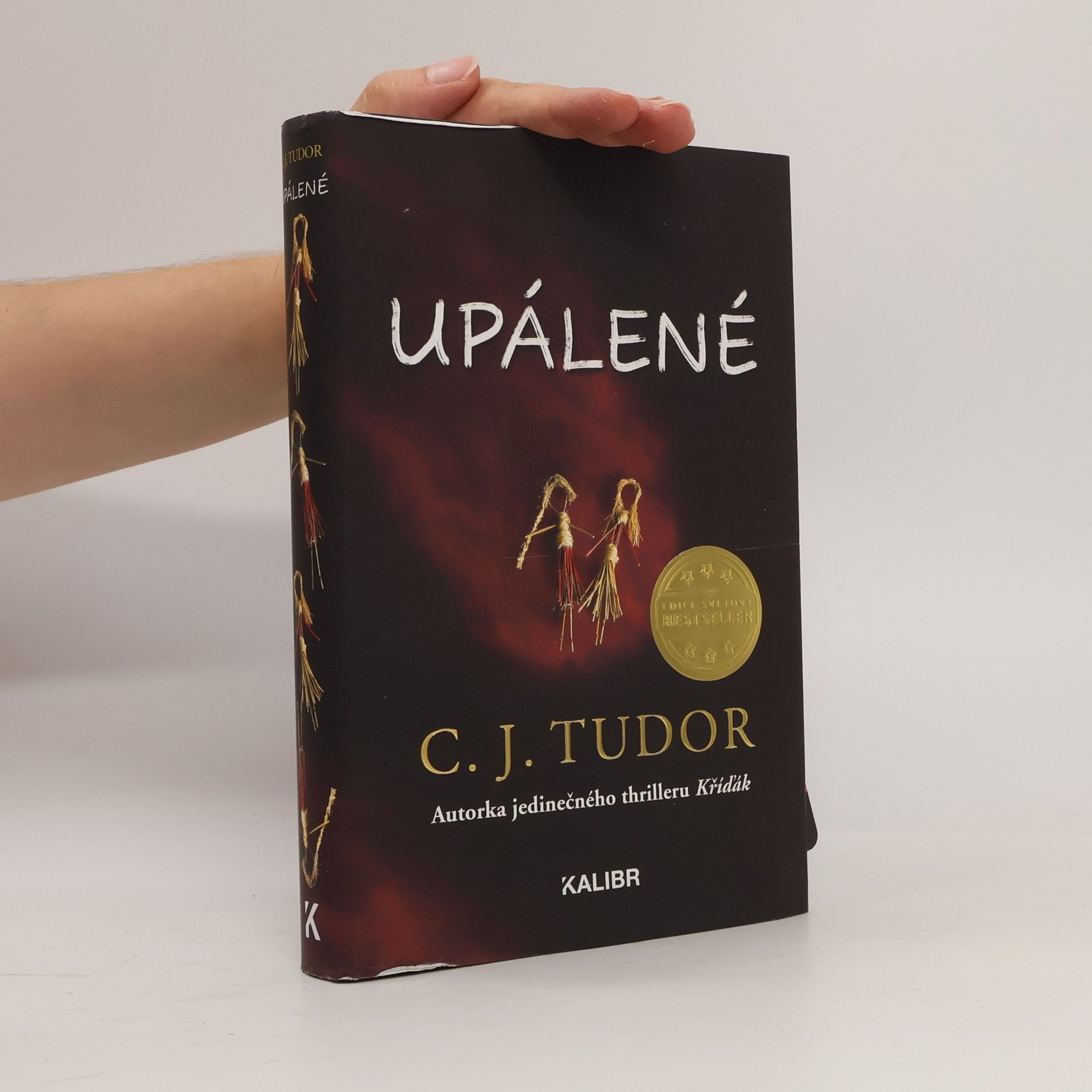 C.J. Tudor Upálené