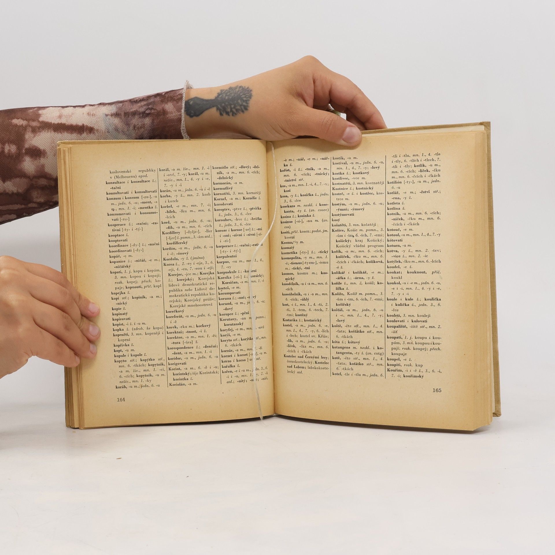 Various authors Pravidla českého pravopisu