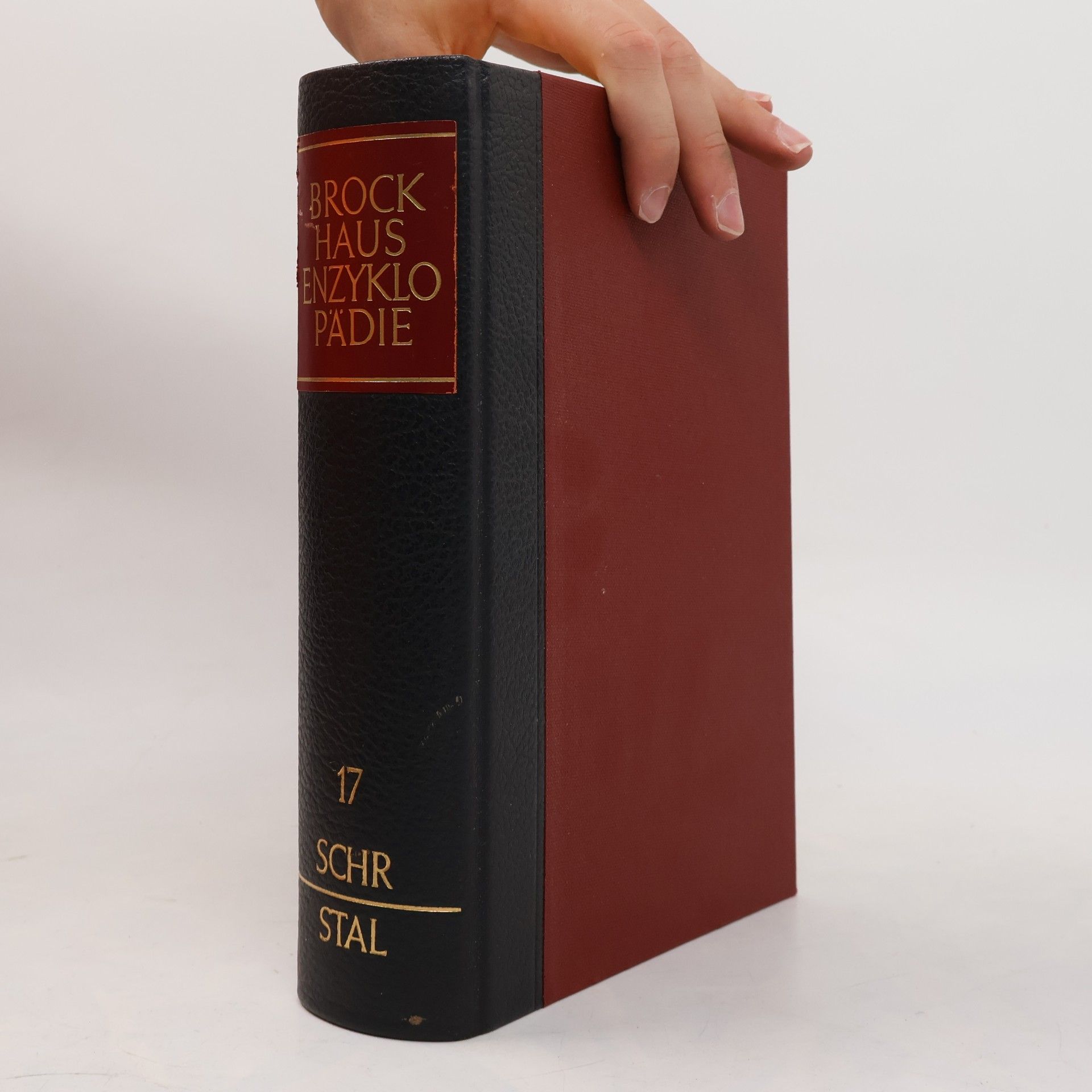 Autorenkollektiv Brockhaus Enzyklopädie 17. Pes-Rac