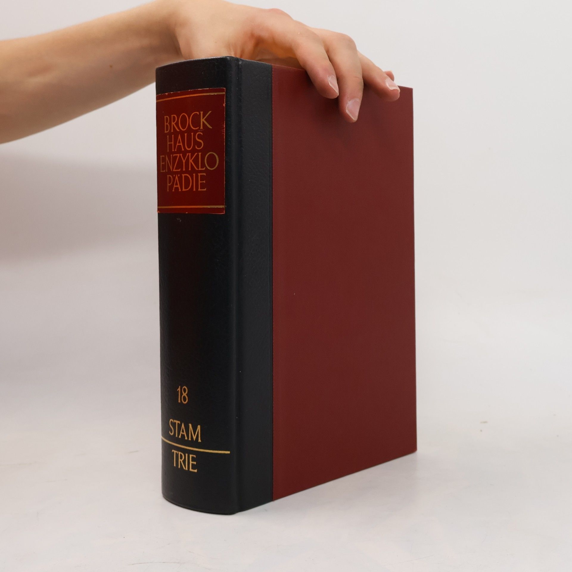 Autorenkollektiv Brockhaus Enzyklopädie 18