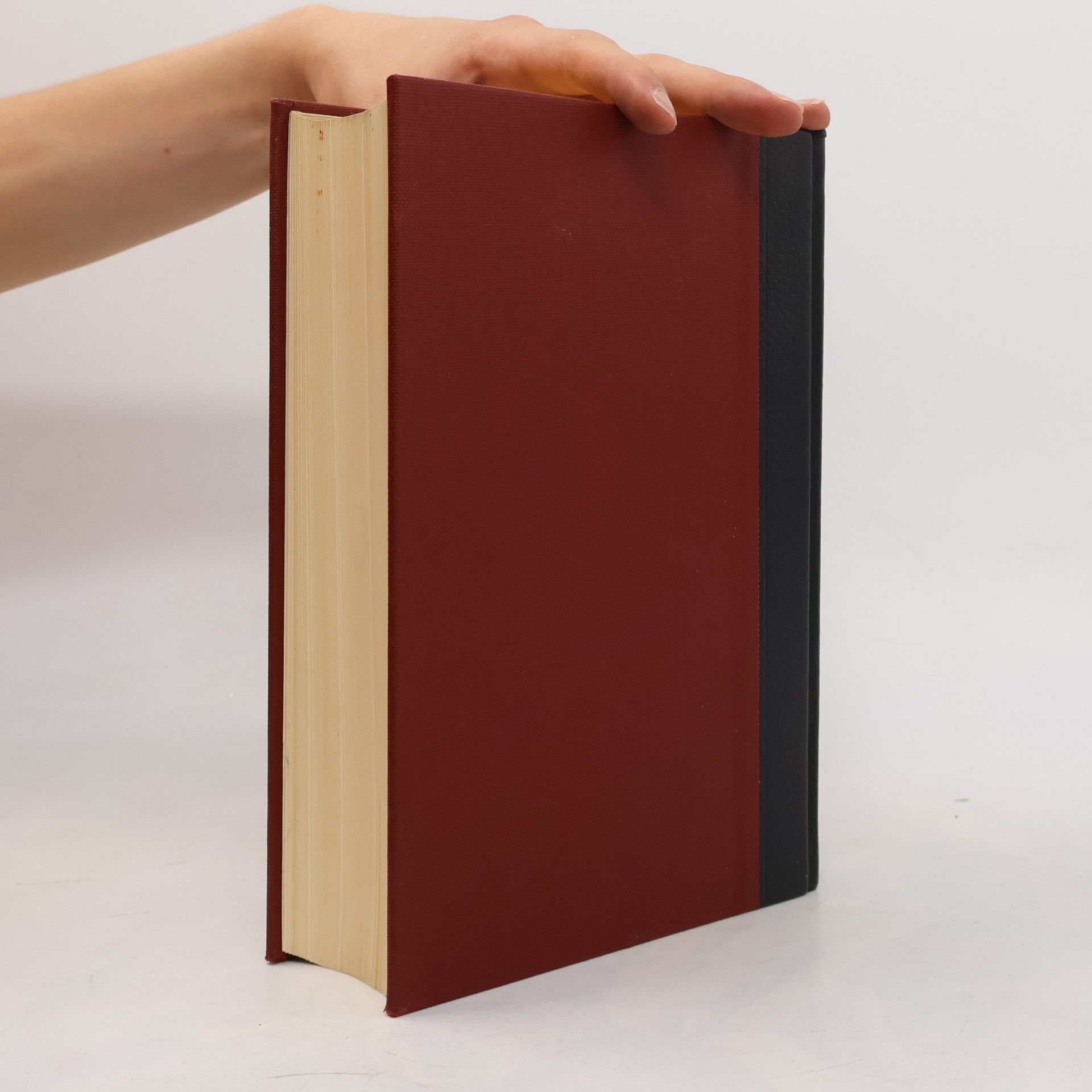 Auteurscollectief Brockhaus Enzyklopädie 18