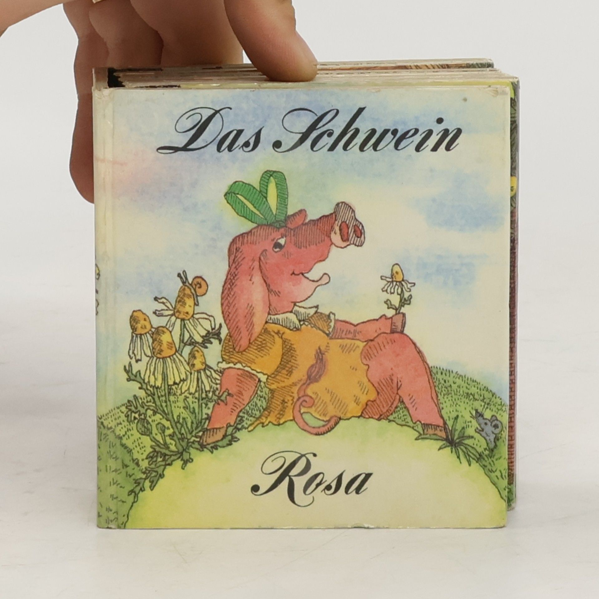 Autorenkollektiv Das Schwein Rosa