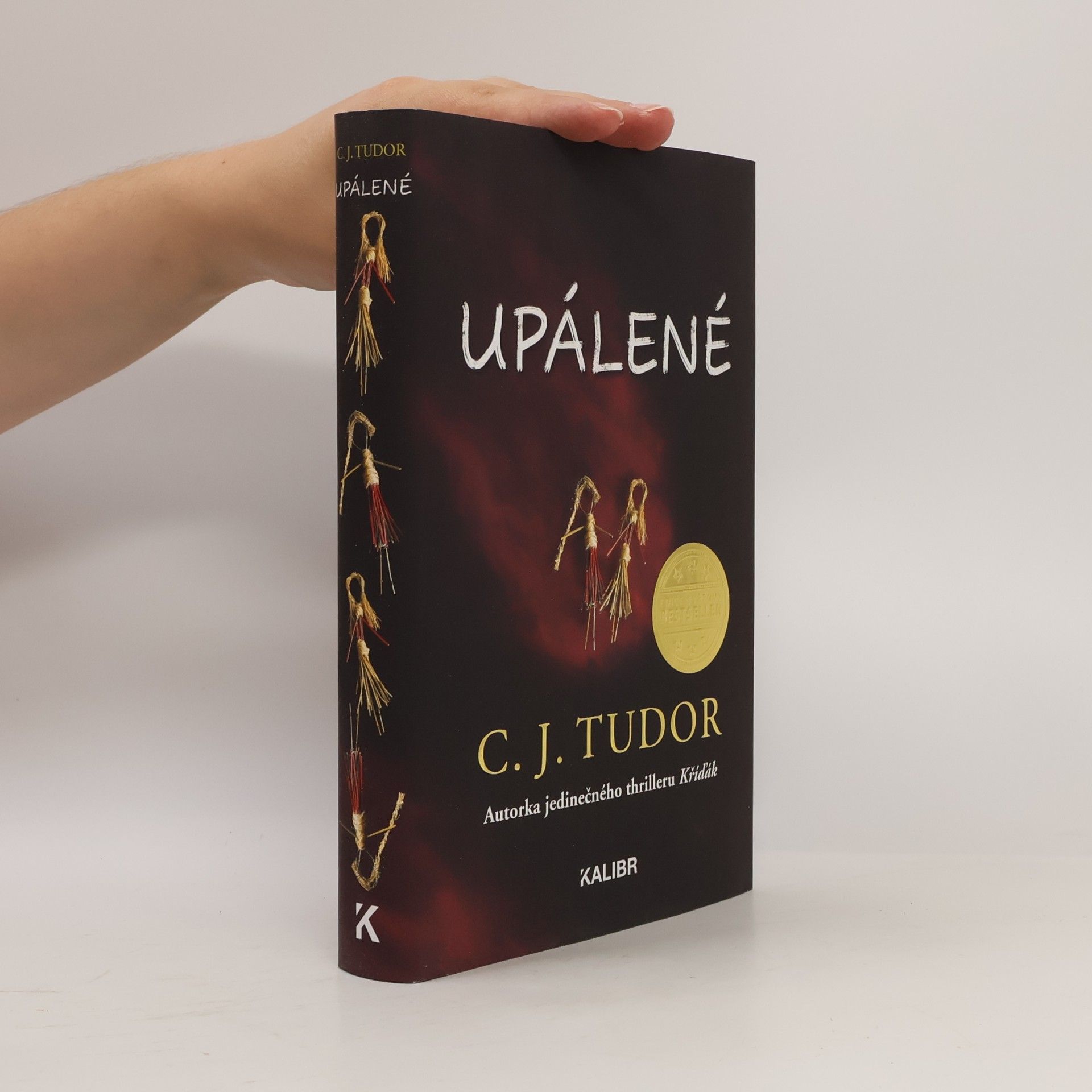 C.J. Tudor Upálené