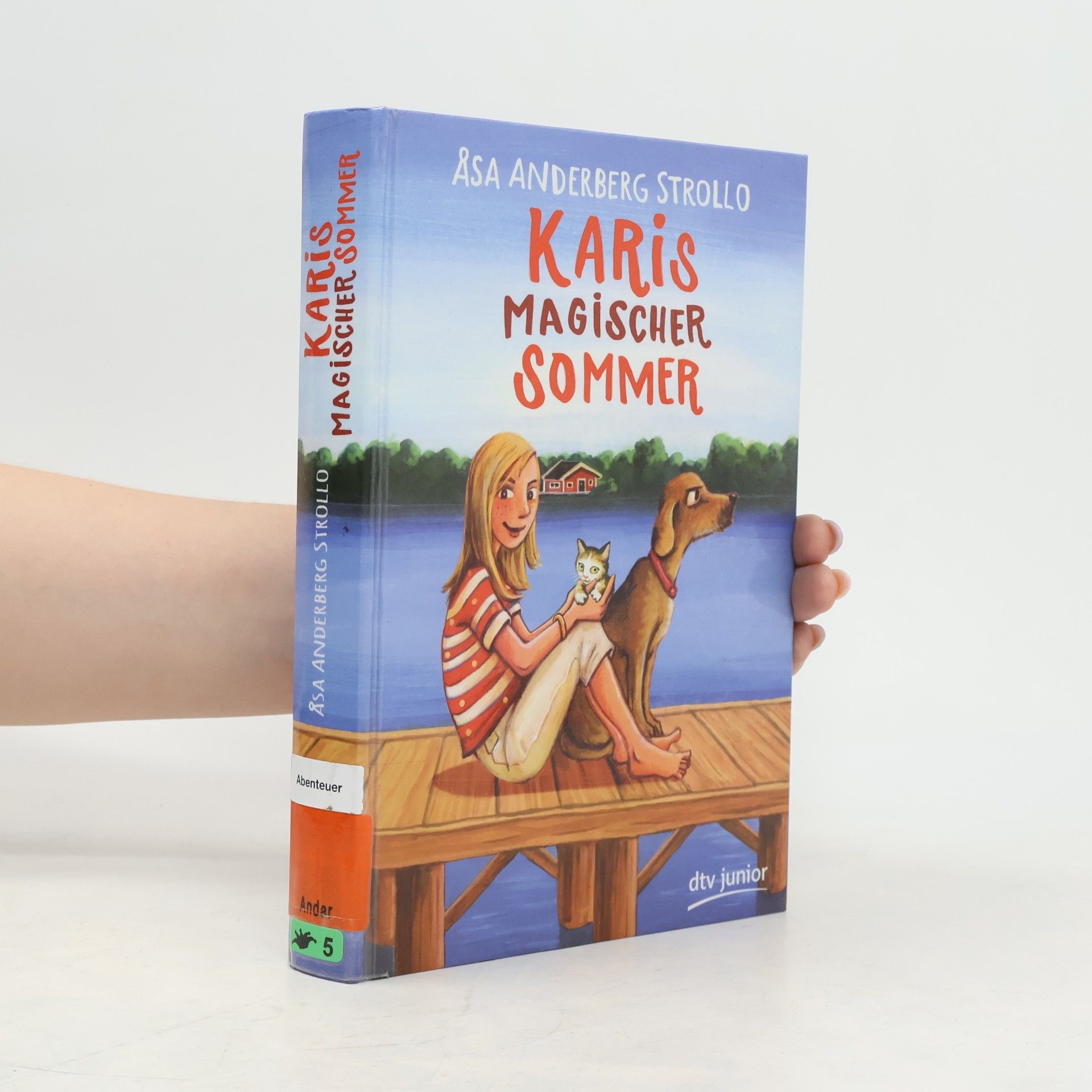 Åsa Anderberg Strollo Karis magischer Sommer