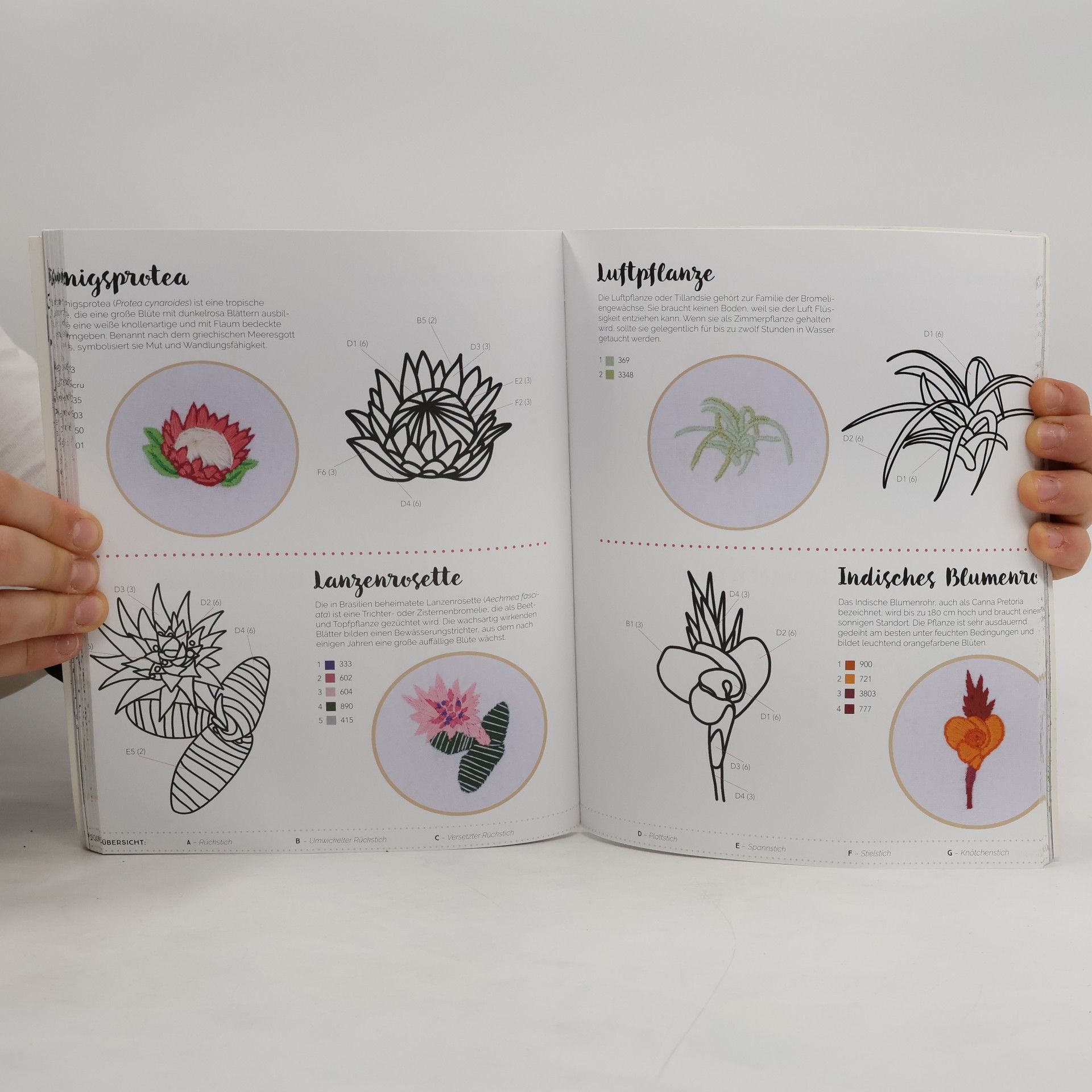 Kristen Gula 200 gestickte Blumen