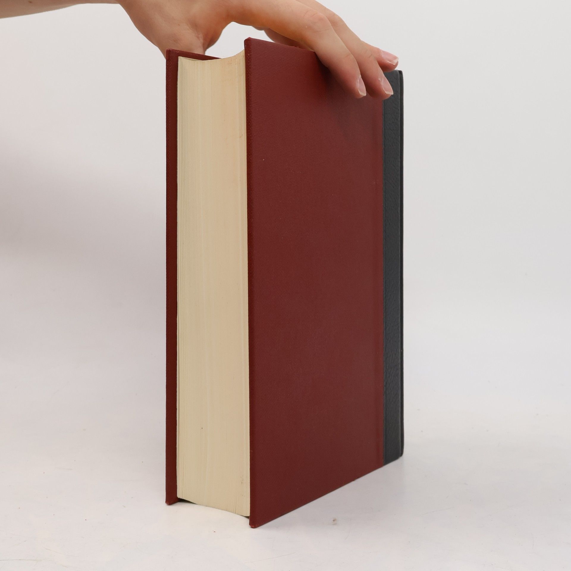 Autorenkollektiv Brockhaus Enzyklopädie 19. Trif-Wal