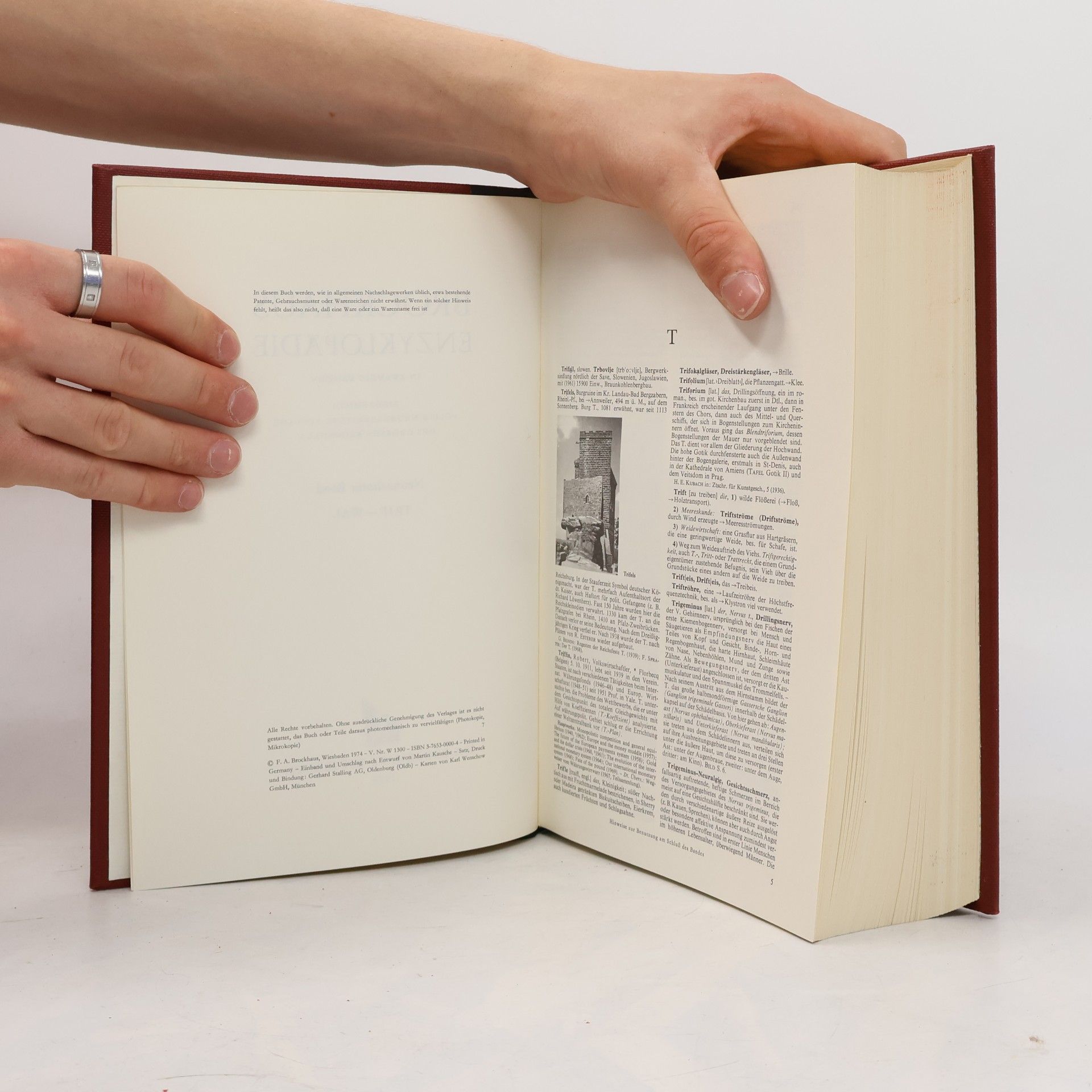 Autorenkollektiv Brockhaus Enzyklopädie 19. Trif-Wal