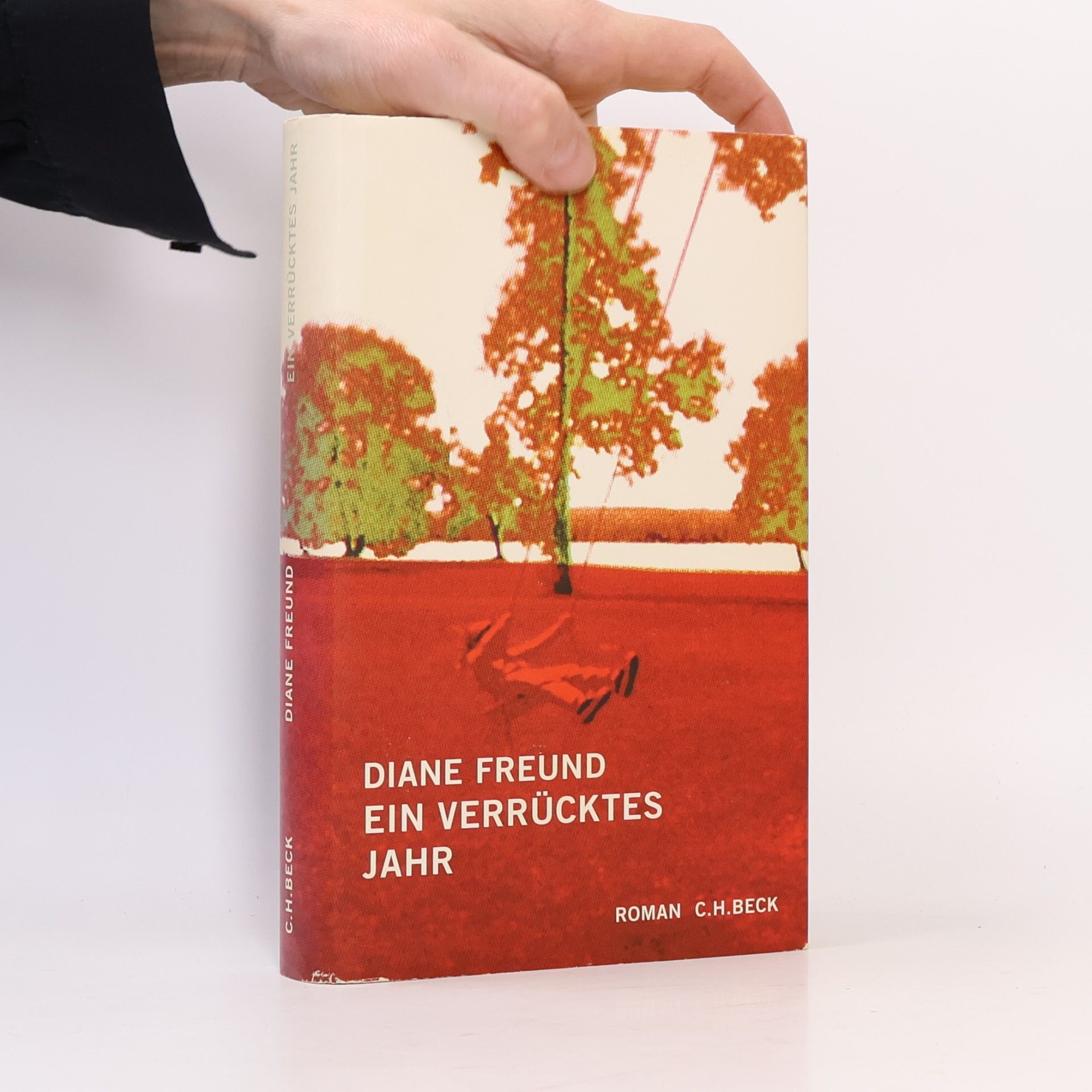 Diane Freund Ein verrücktes Jahr
