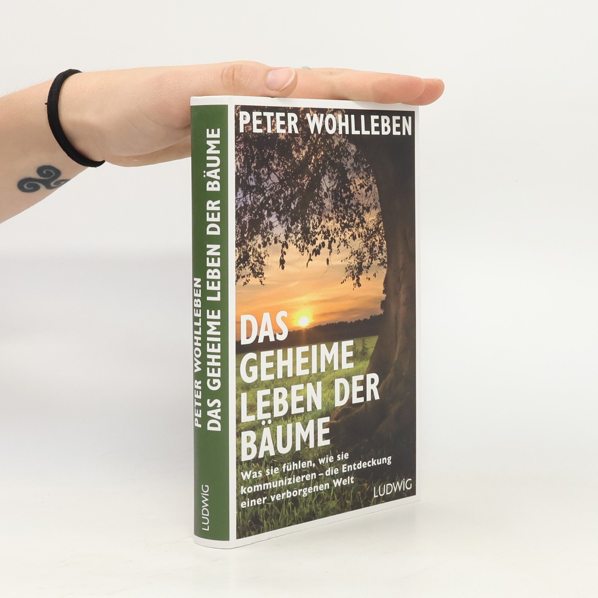 Peter Wohlleben Das geheime Leben der Bäume