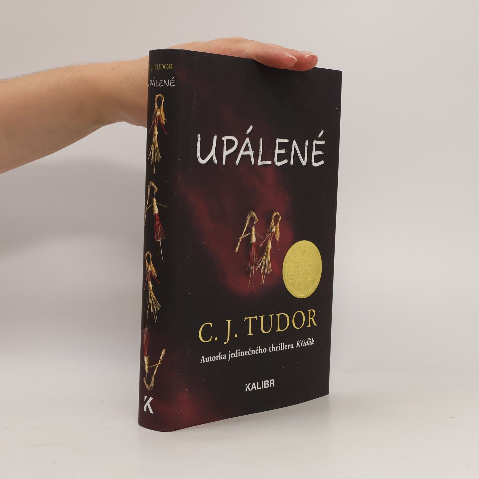 C.J. Tudor Upálené