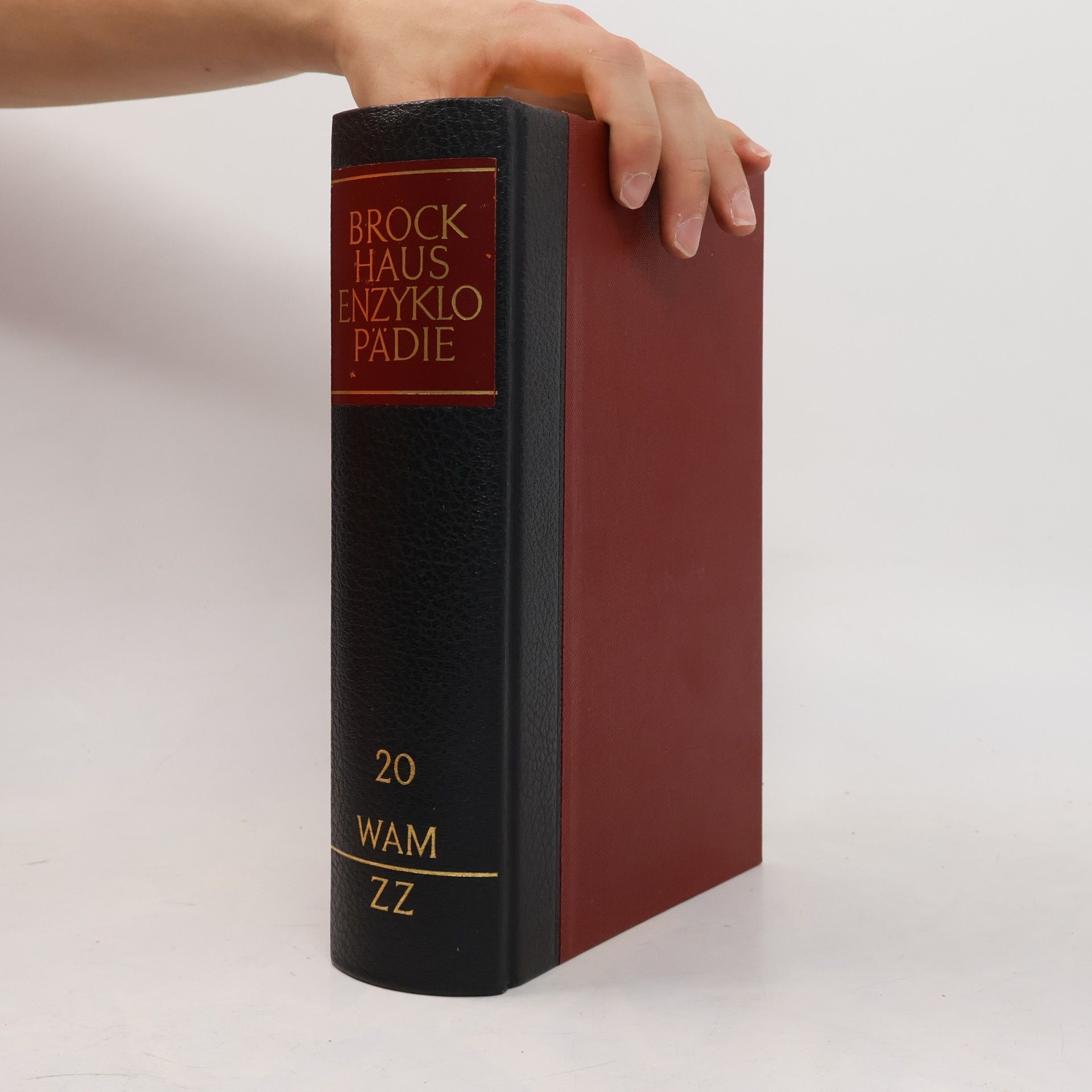 Autorenkollektiv Brockhaus Enzyklopädie 20 (SCI-SQ)