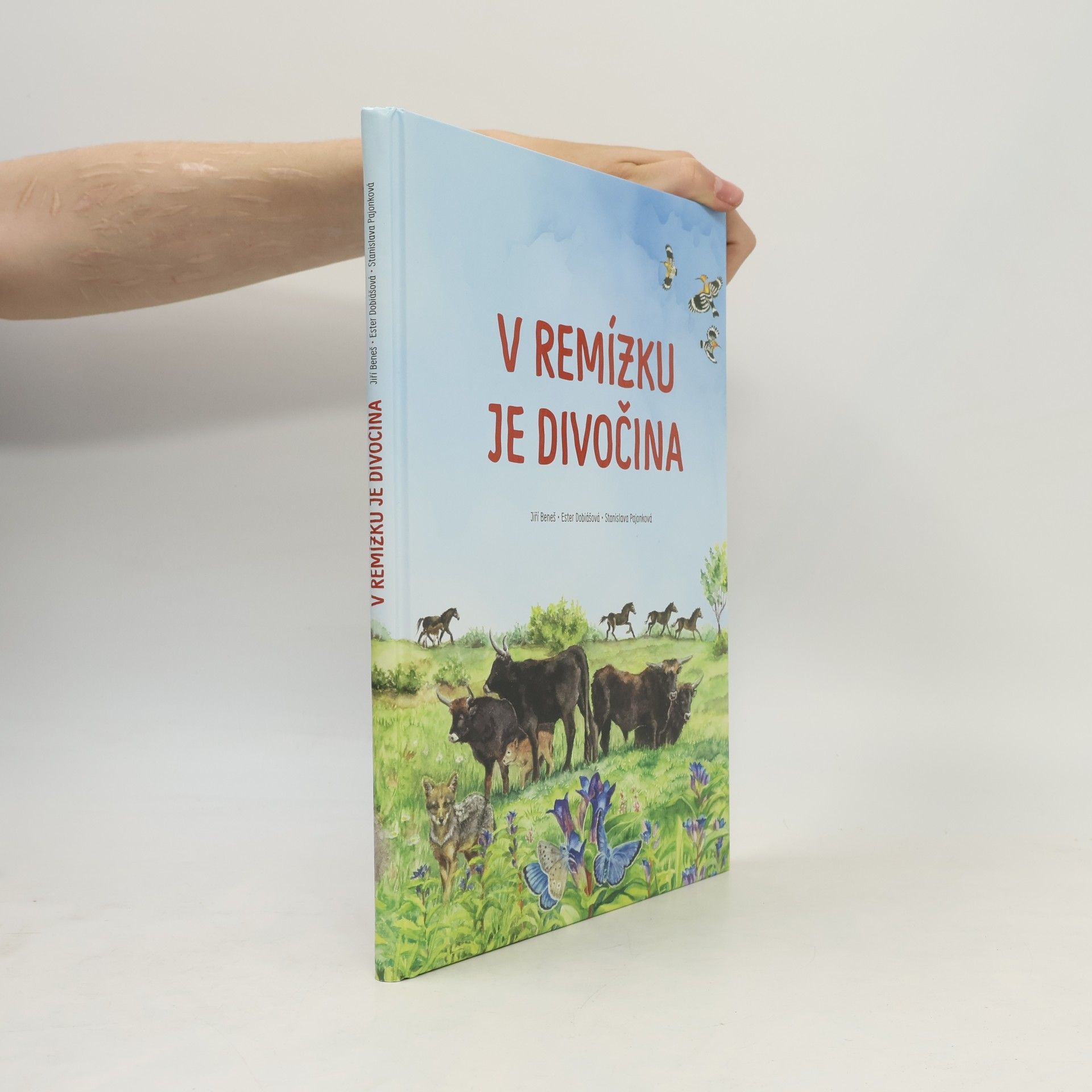 V remízku je divočina