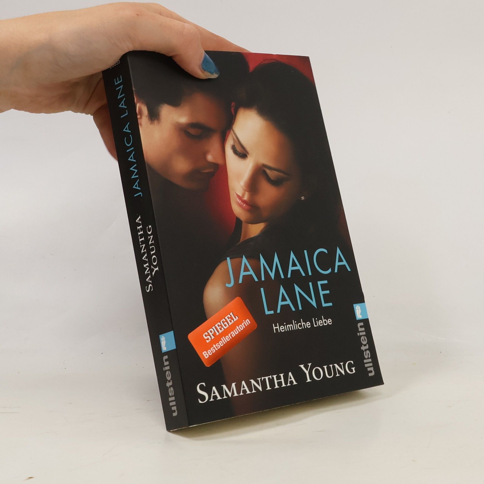 Samantha Young Jamaica Lane: Heimliche Liebe
