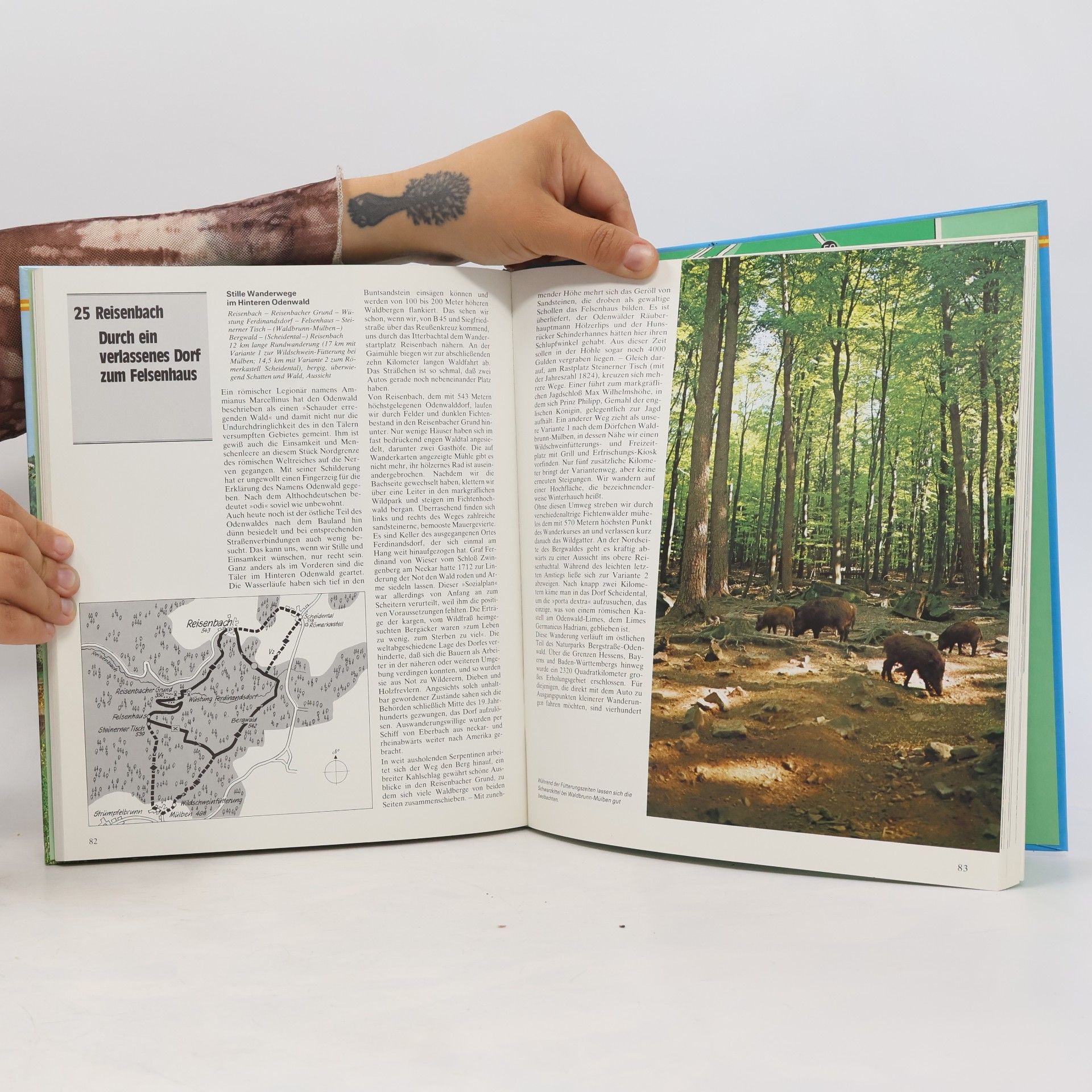 Thomas Klein Wanderbuch für Spessart, Odenwald, Taunus und Vogelsberg