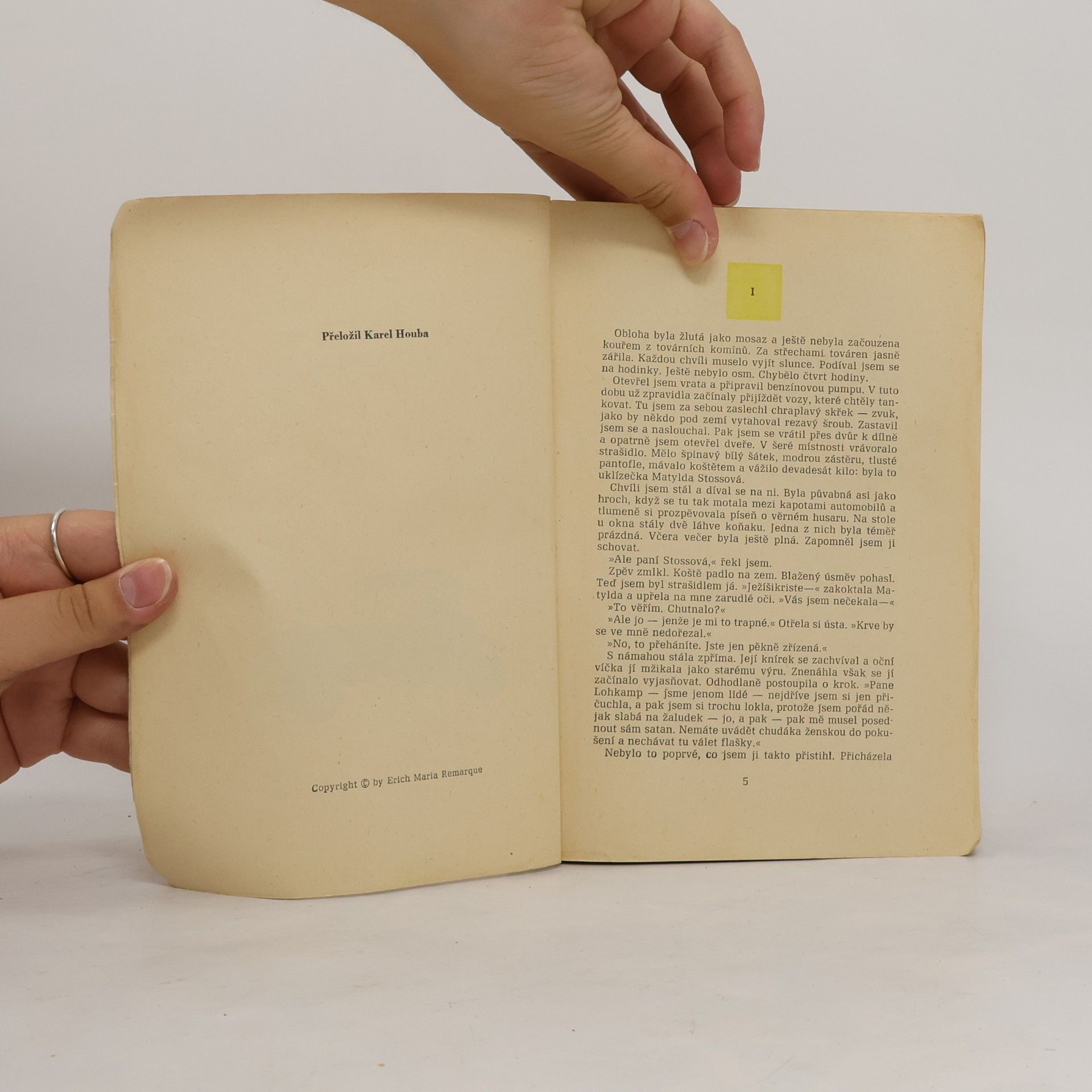 Erich Maria Remarque Tři kamarádi