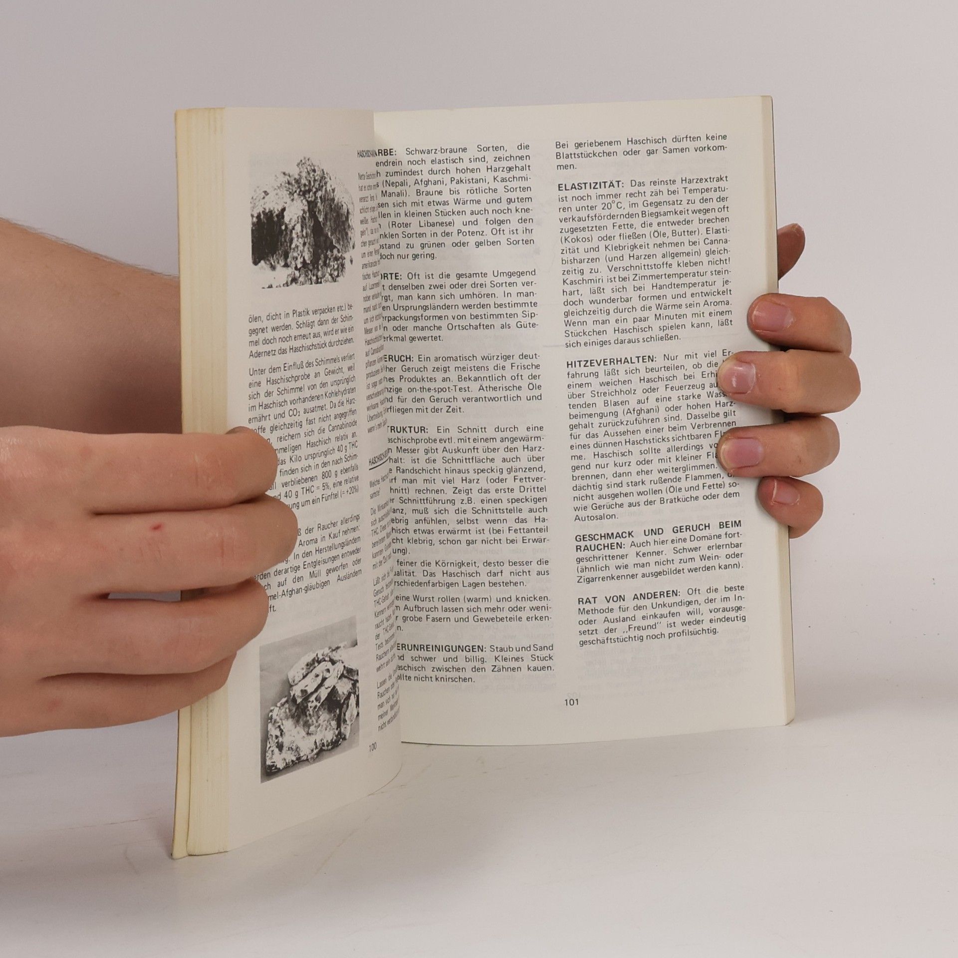 Hainer Hai Das definitive deutsche Hanf-Handbuch