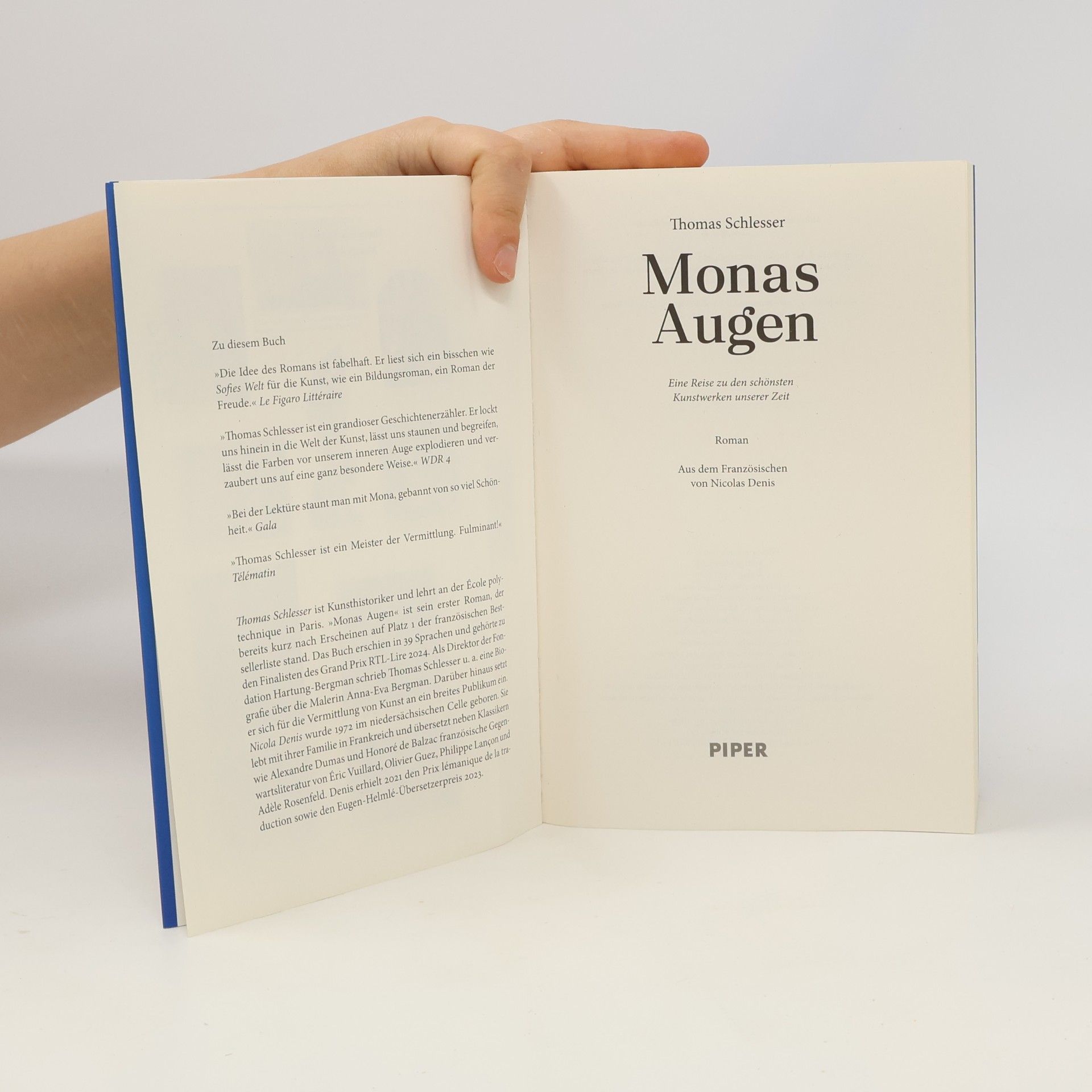 Thomas Schlesser Monas Augen – Eine Reise zu den schönsten Kunstwerken unserer Zeit: Roman
