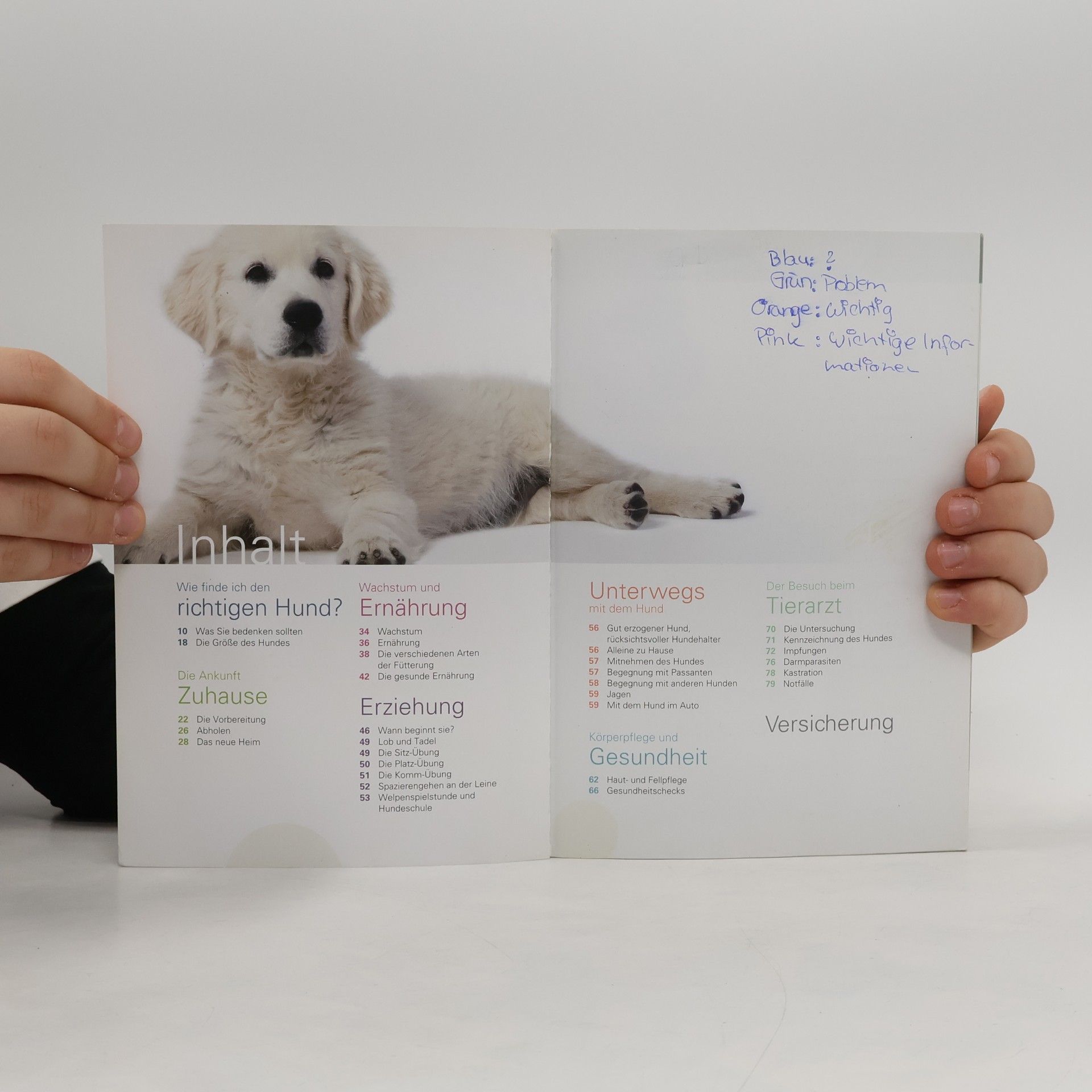 Various authors Ein Hund kommt ins Haus