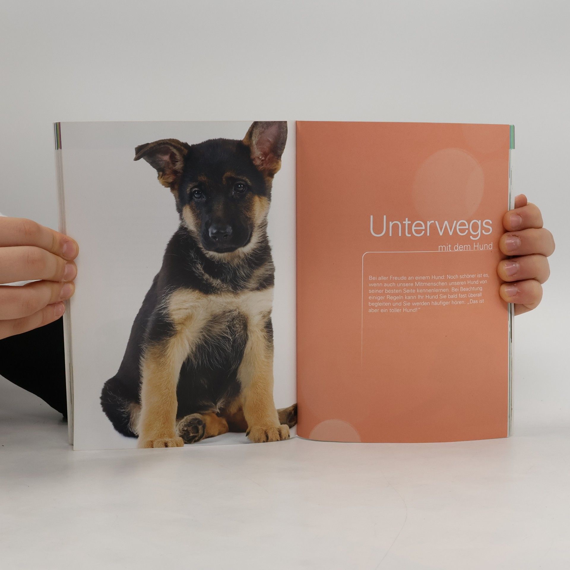 Various authors Ein Hund kommt ins Haus