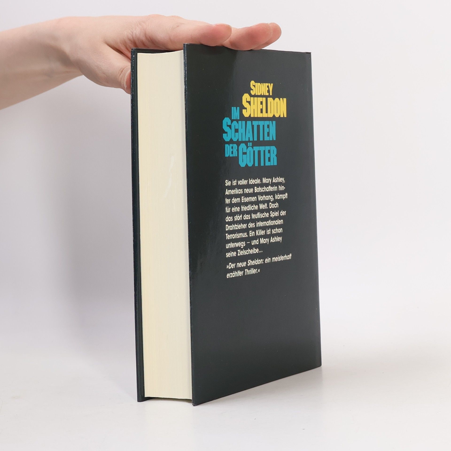 Sidney Sheldon Im Schatten der Götter