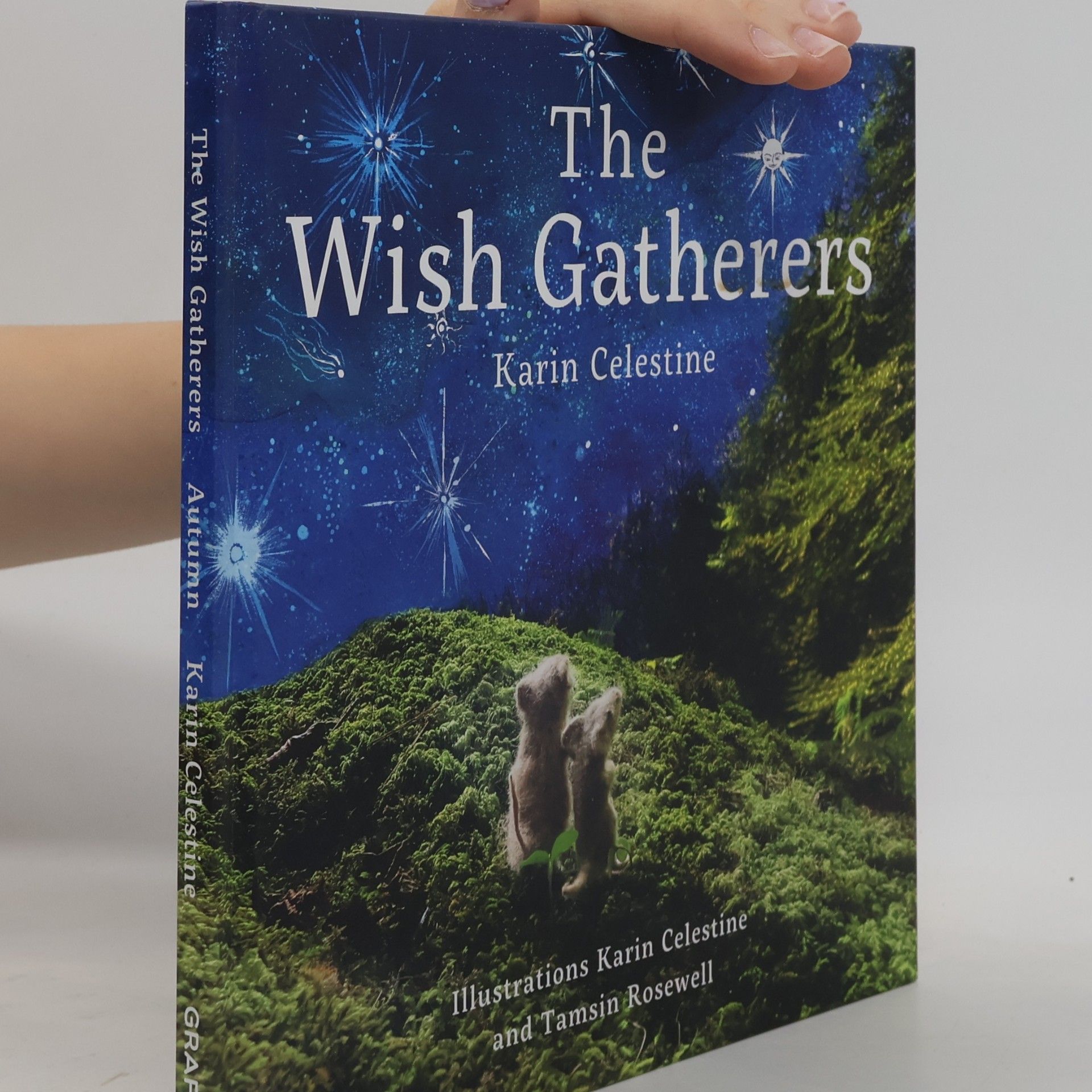Tamsin Rosewell The Wish Gatherers