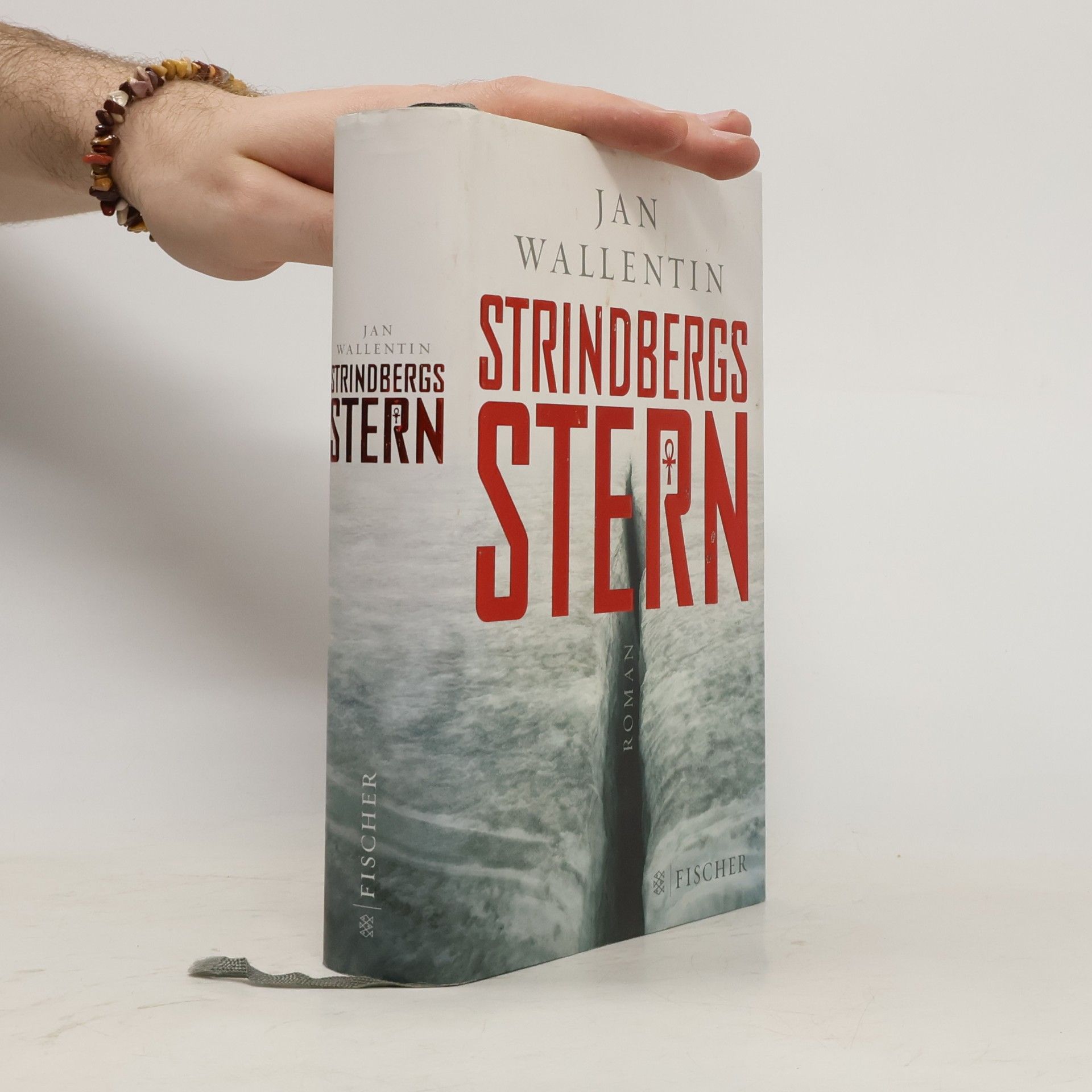 Jan Wallentin Strindbergs Stern
