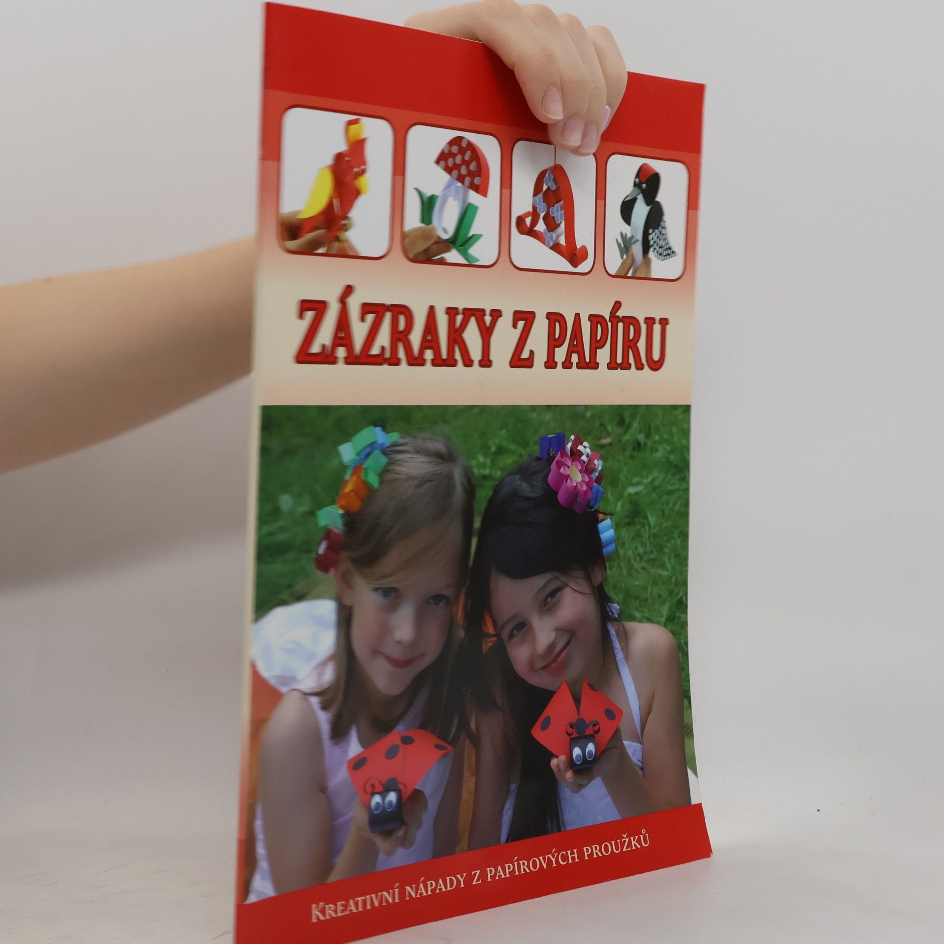 Collectif d'auteurs Zázraky z papíru - Kreativní nápady z papírových proužků