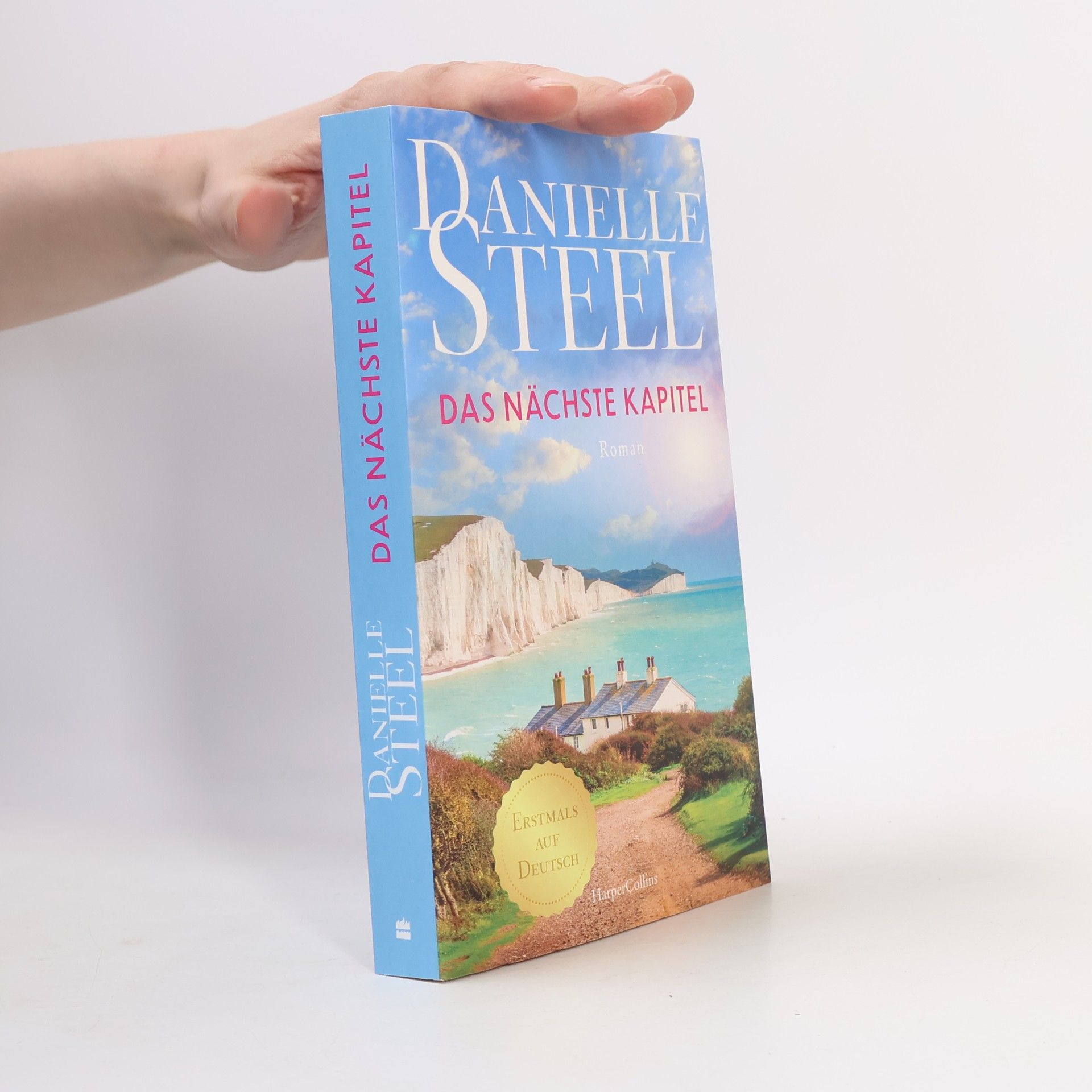 Danielle Steel Das nächste Kapitel