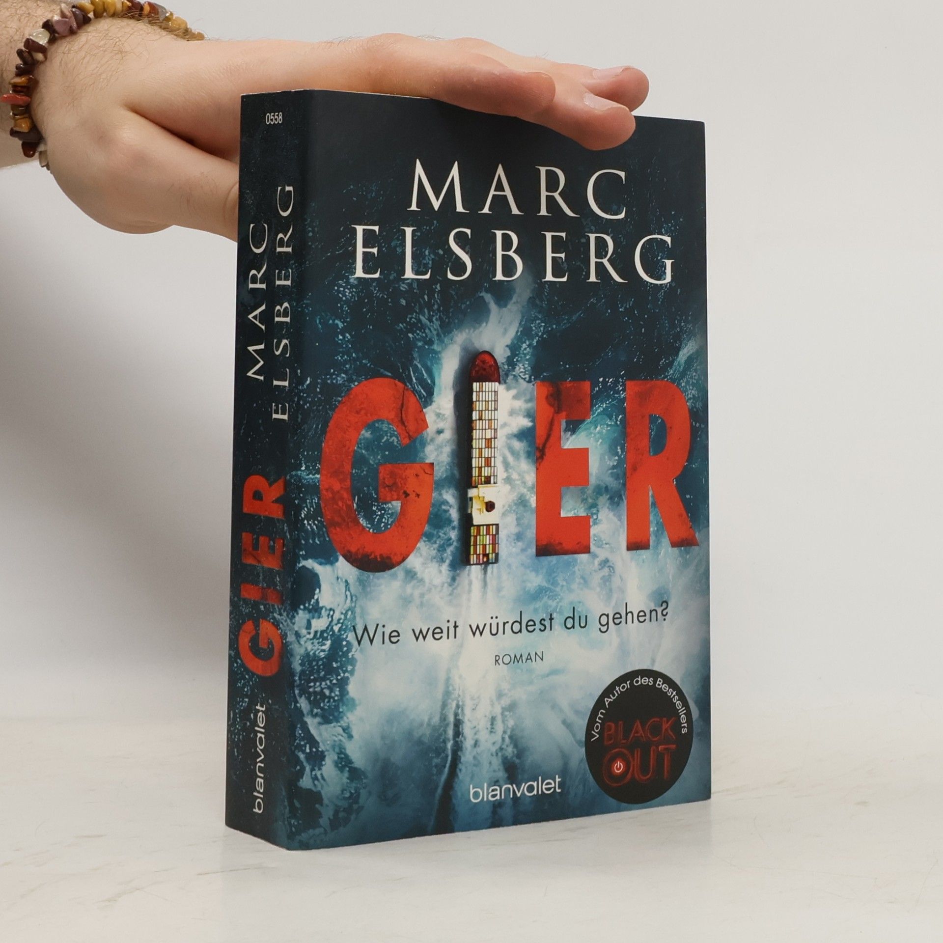 Marc Elsberg Gier