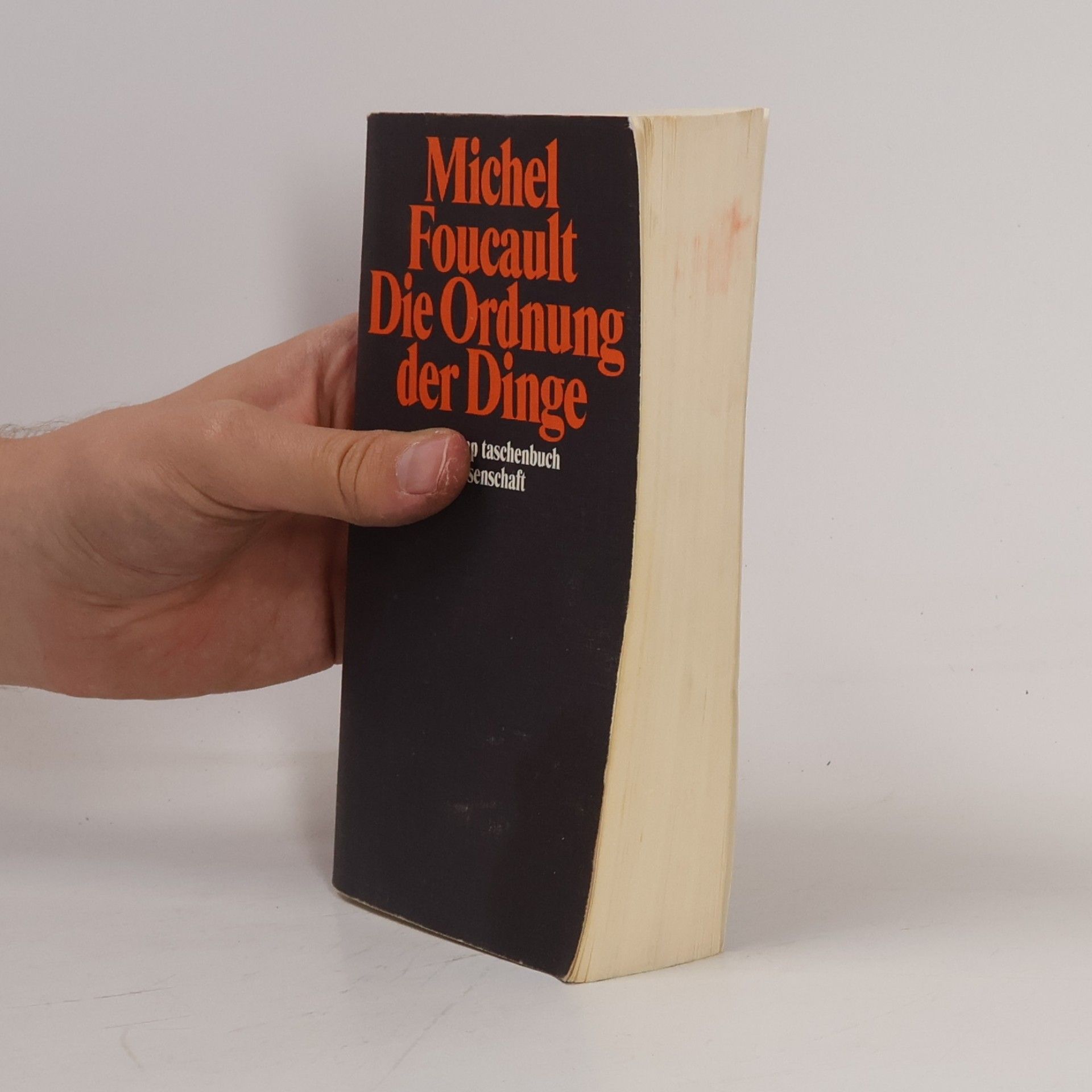 Michel Foucault Die Ordnung der Dinge