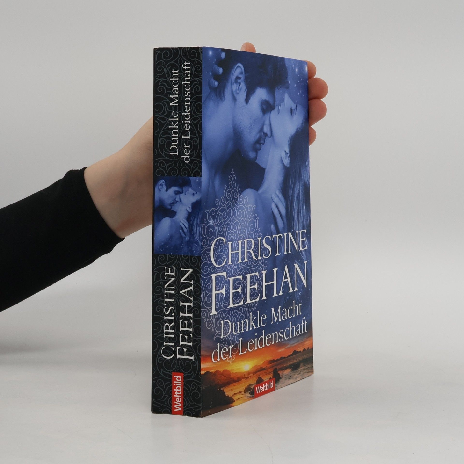 Christine Feehan Dunkle Macht der Leidenschaft