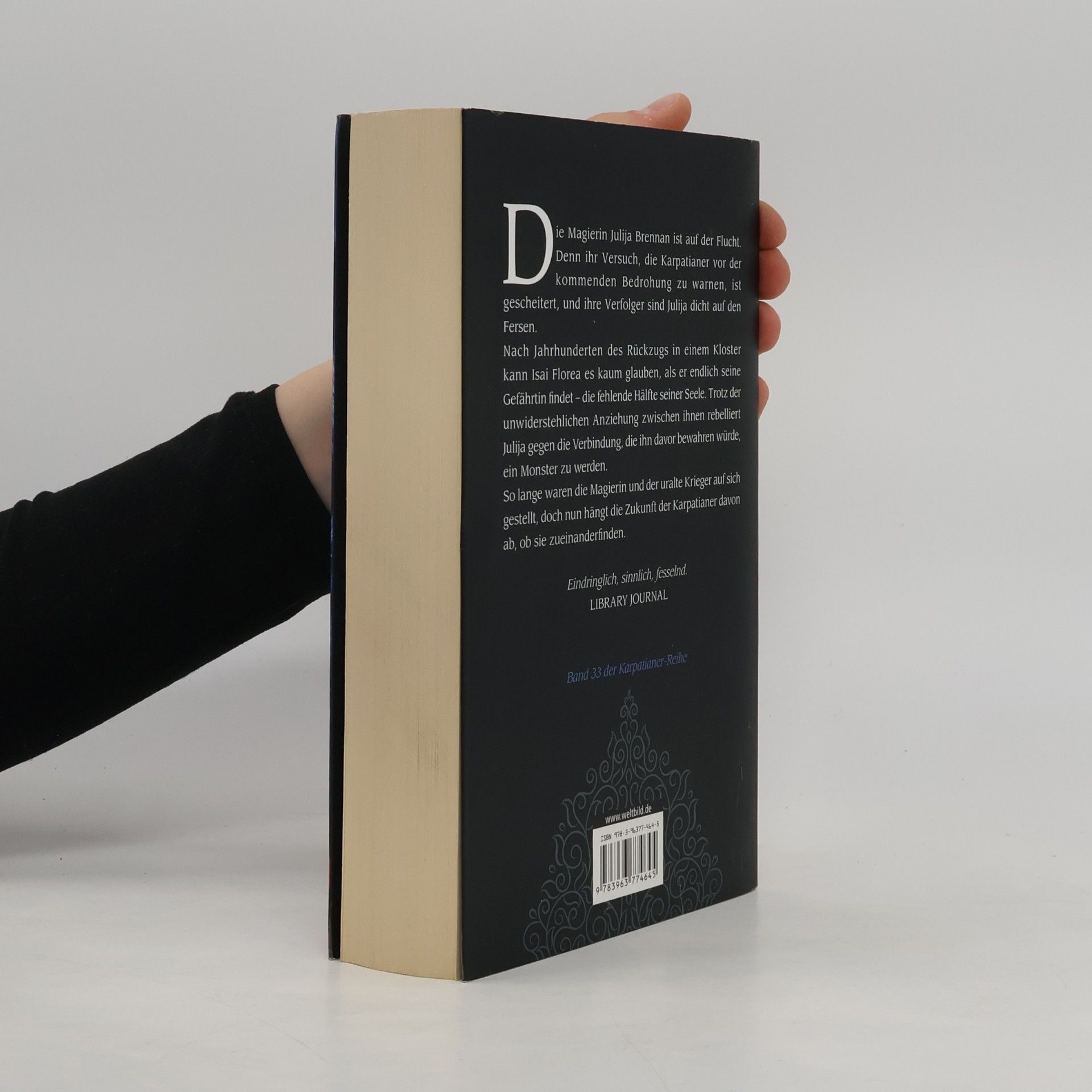 Christine Feehan Dunkle Macht der Leidenschaft