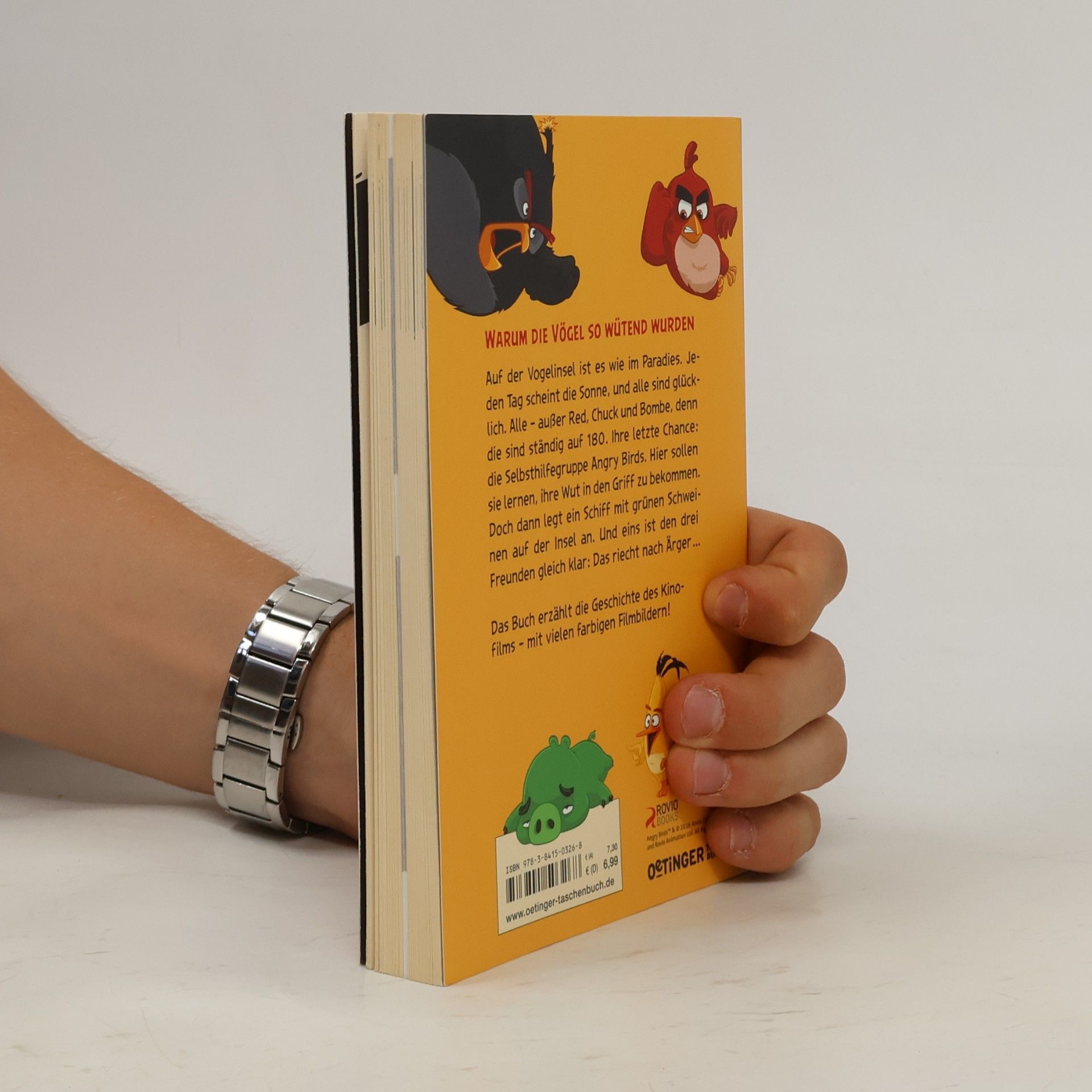 Chris Cerasi Angry Birds - das Buch zum Film