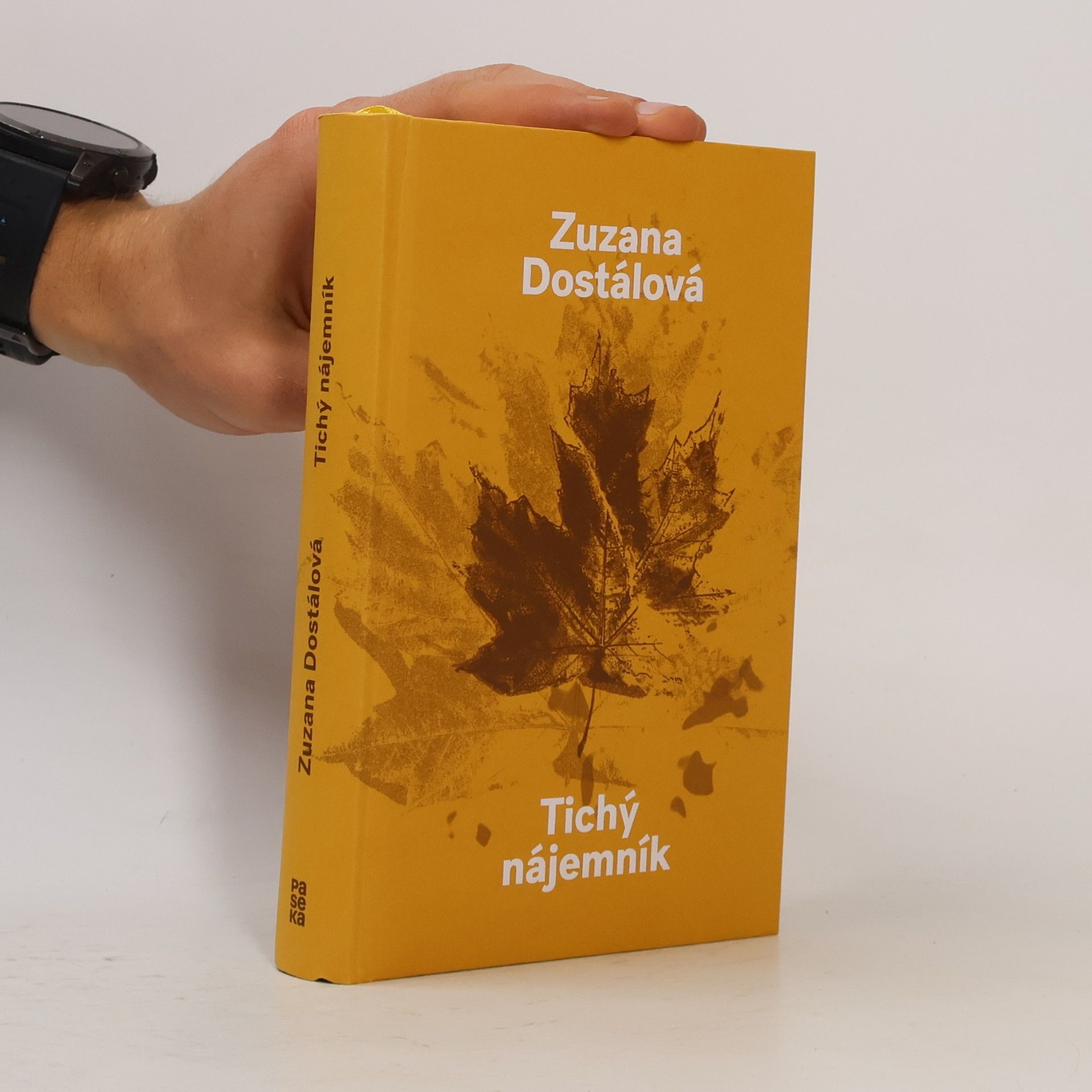 Zuzana Dostálová Tichý nájemník