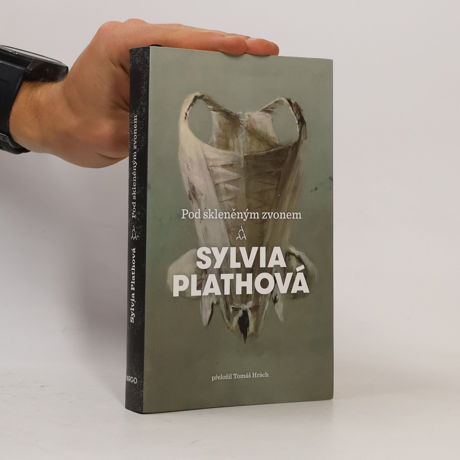Sylvia Plath Pod skleněným zvonem