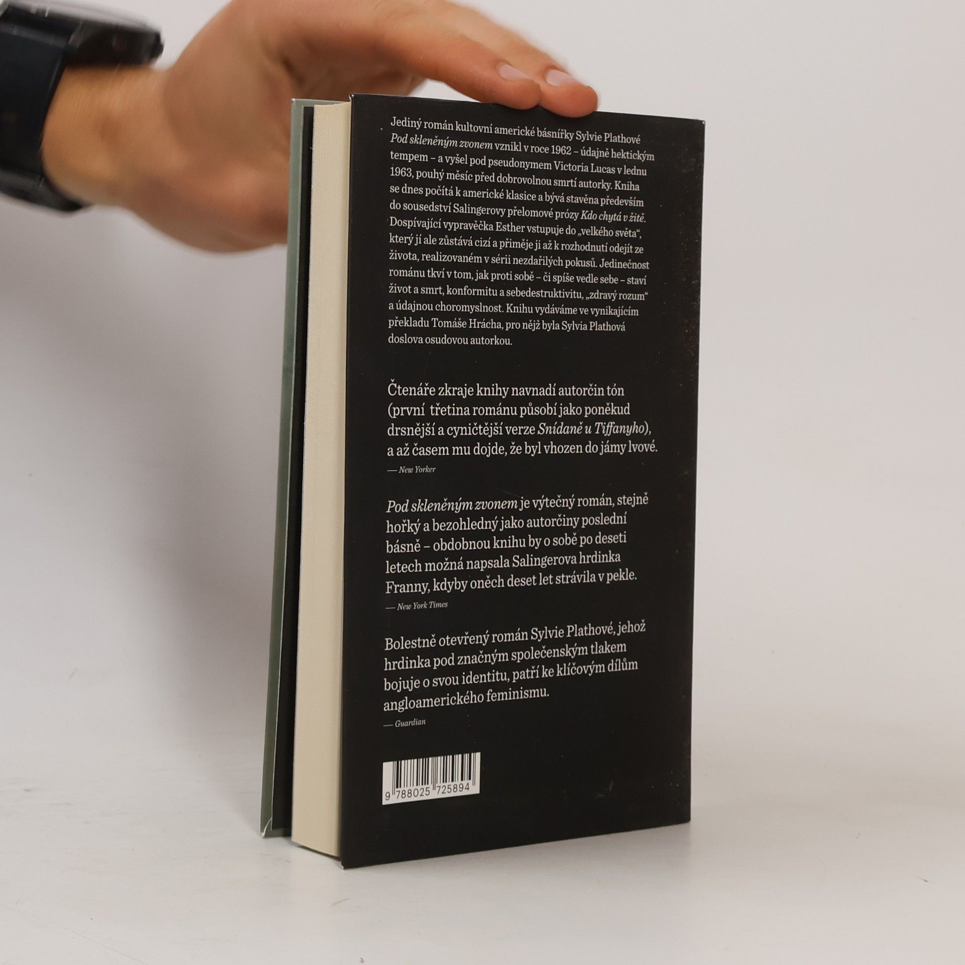 Sylvia Plath Pod skleněným zvonem