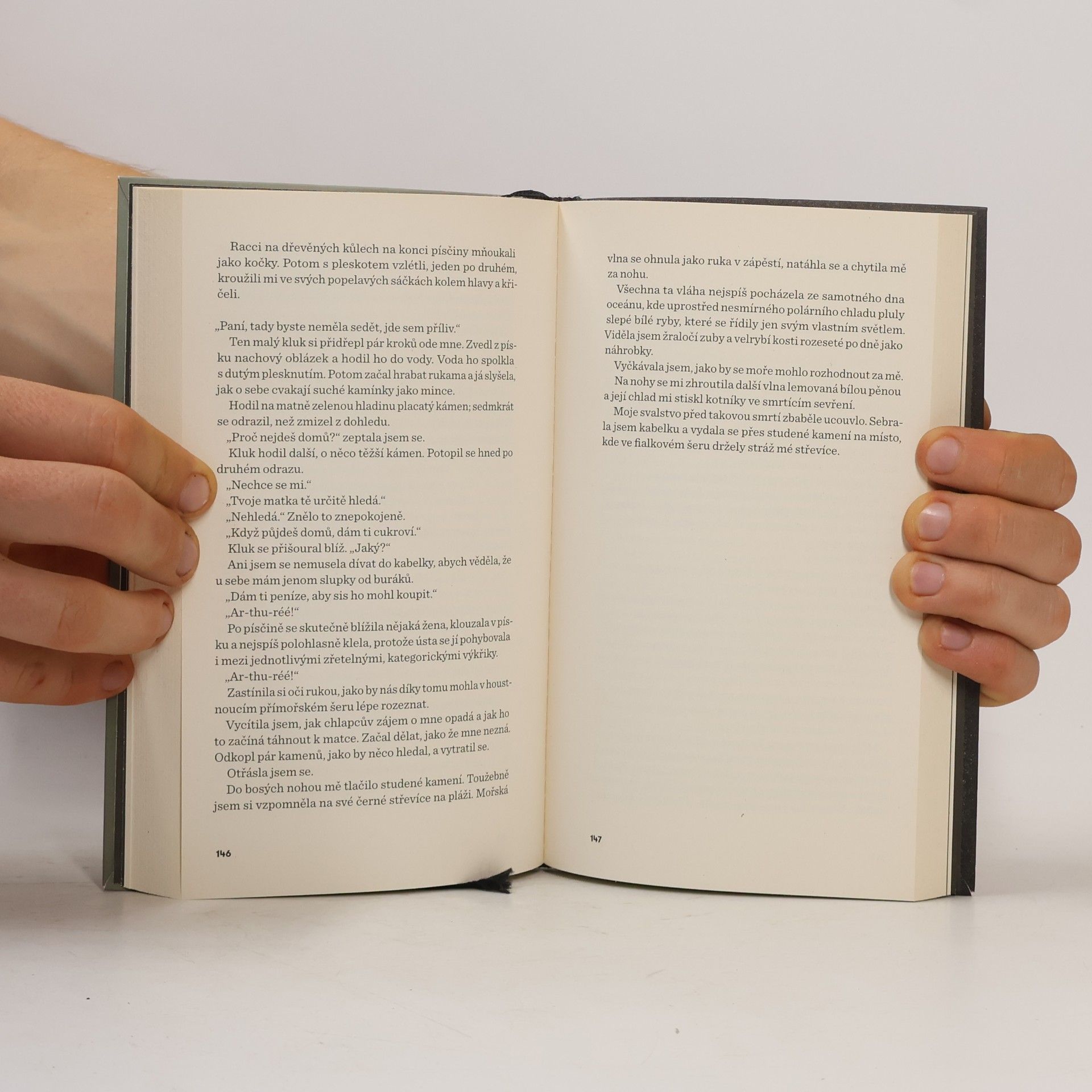 Sylvia Plath Pod skleněným zvonem