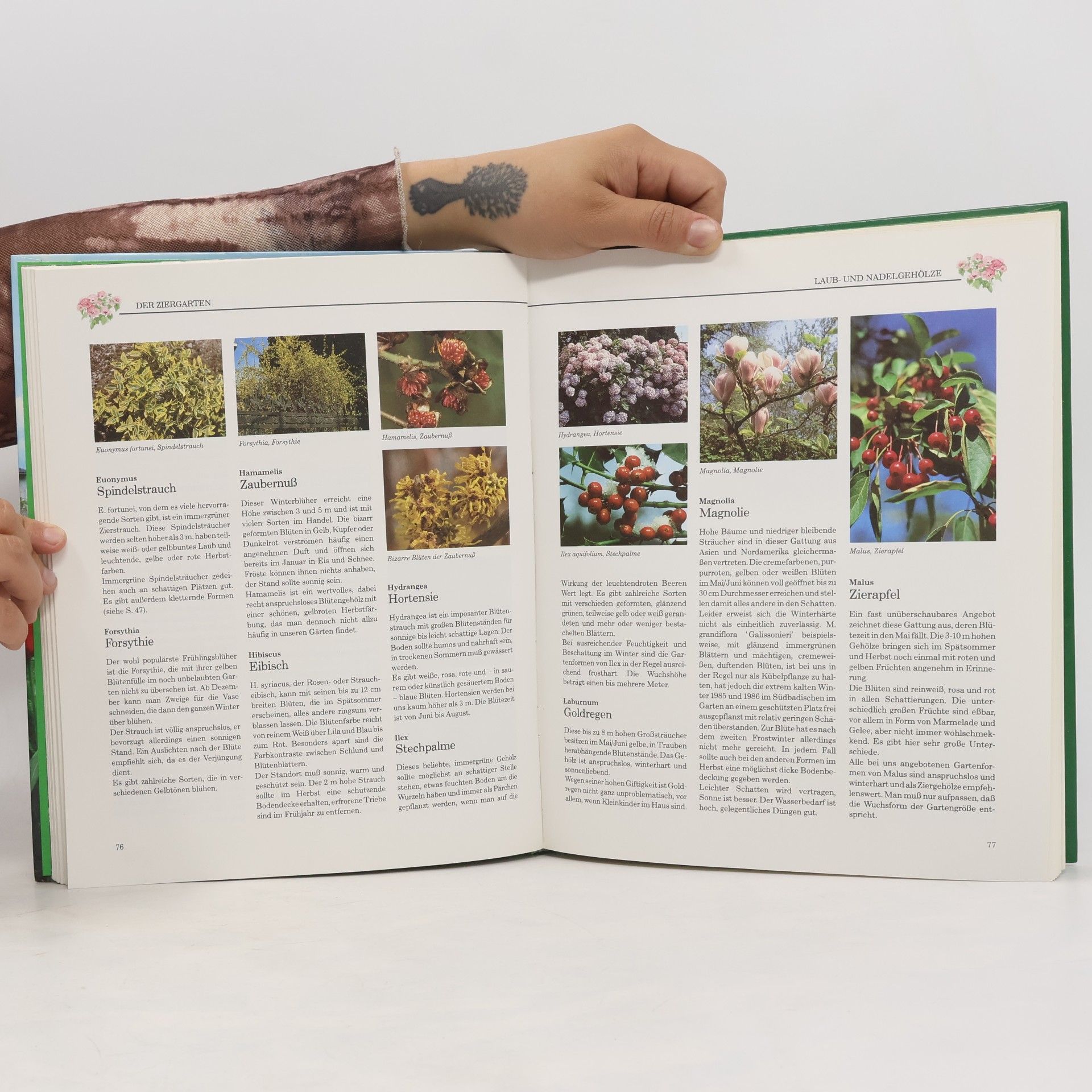 Helmut Jantra Helmut Jantras Gartenbuch